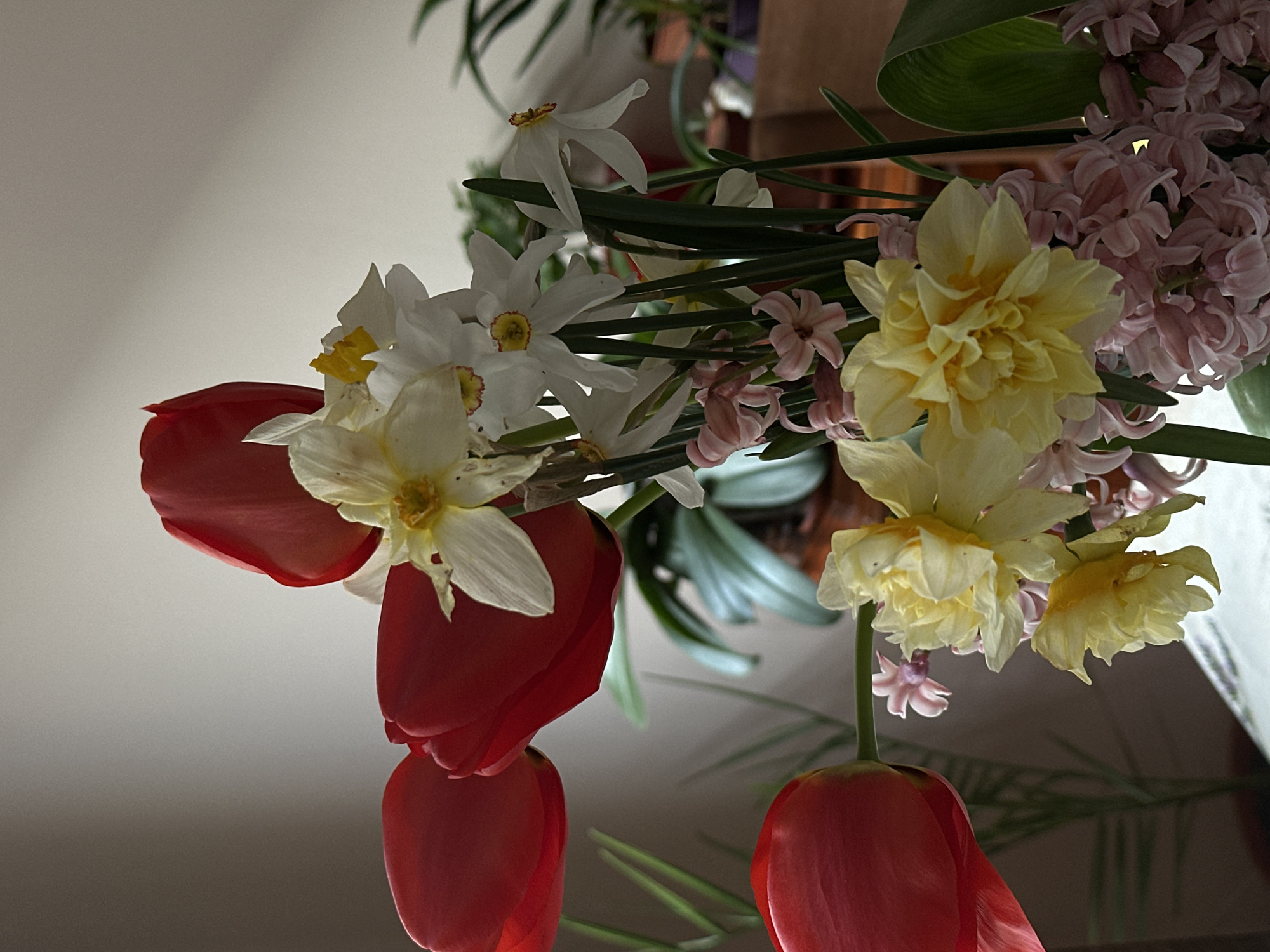 Spring flowers and family moments captured in Stara Zagora