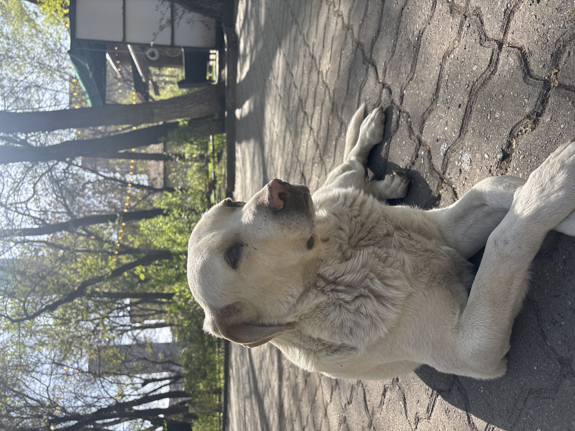 Spring afternoon park visit documented in Yerevan, Armenia