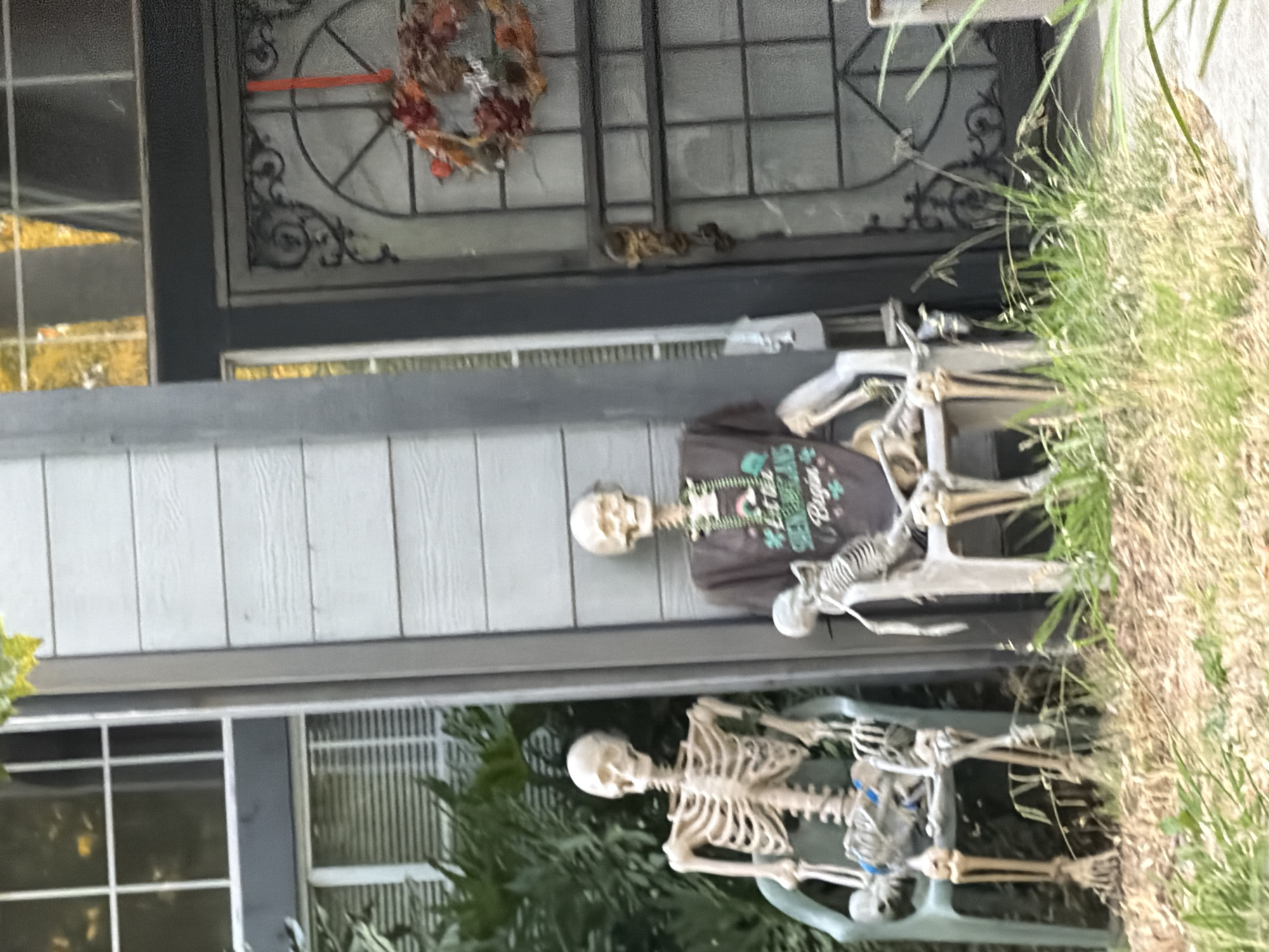 Skeleton decorations staged outside an Elk Grove home