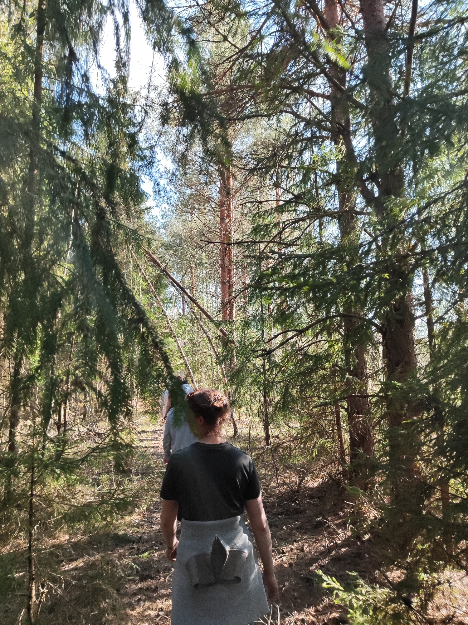 Forest hikers and river gatherings documented in wooded area