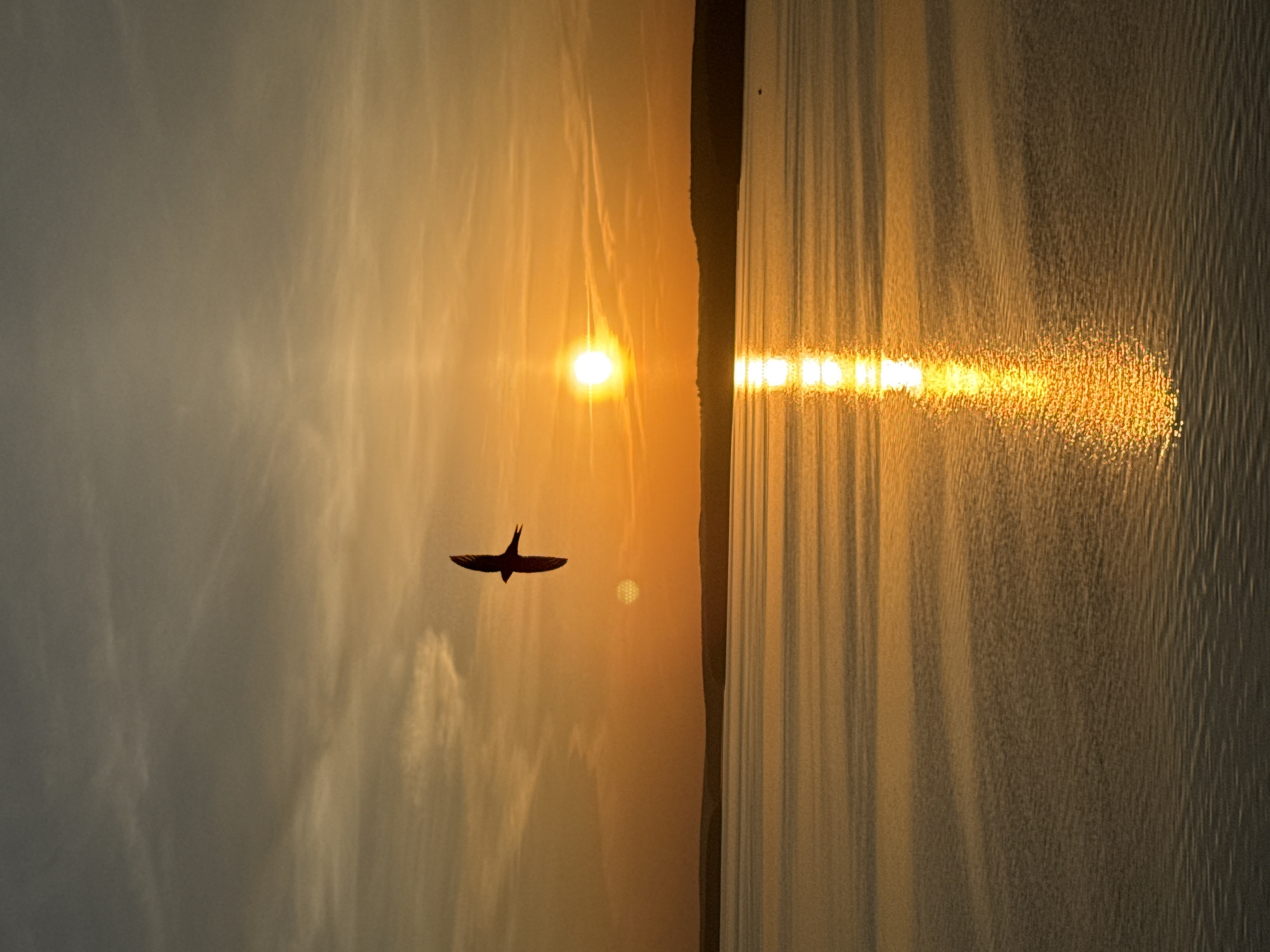 Evening sunset scenes captured around Votkinsk Reservoir, Russia
