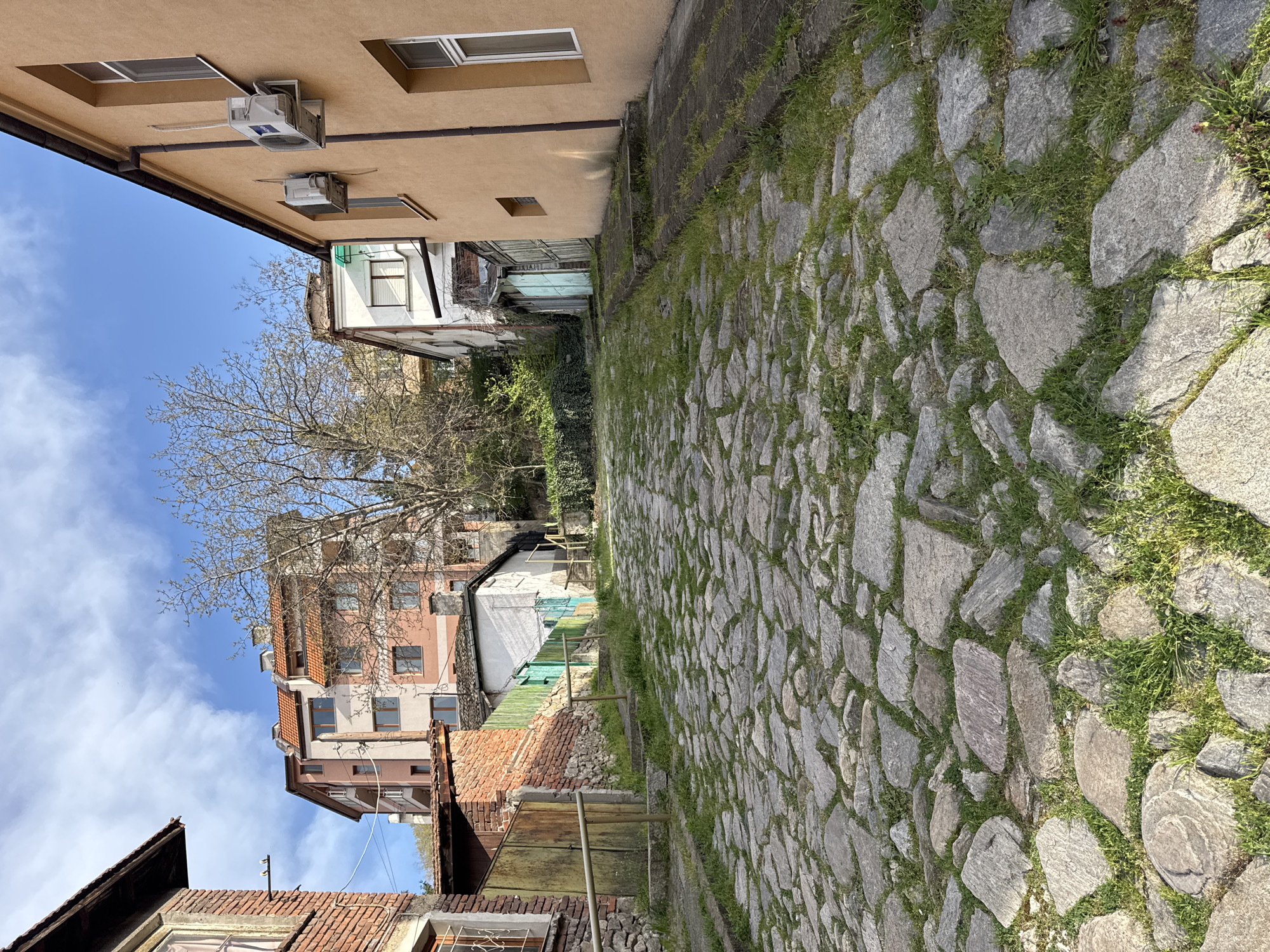 Small dog with bow rests on Plovdiv cobblestone streets