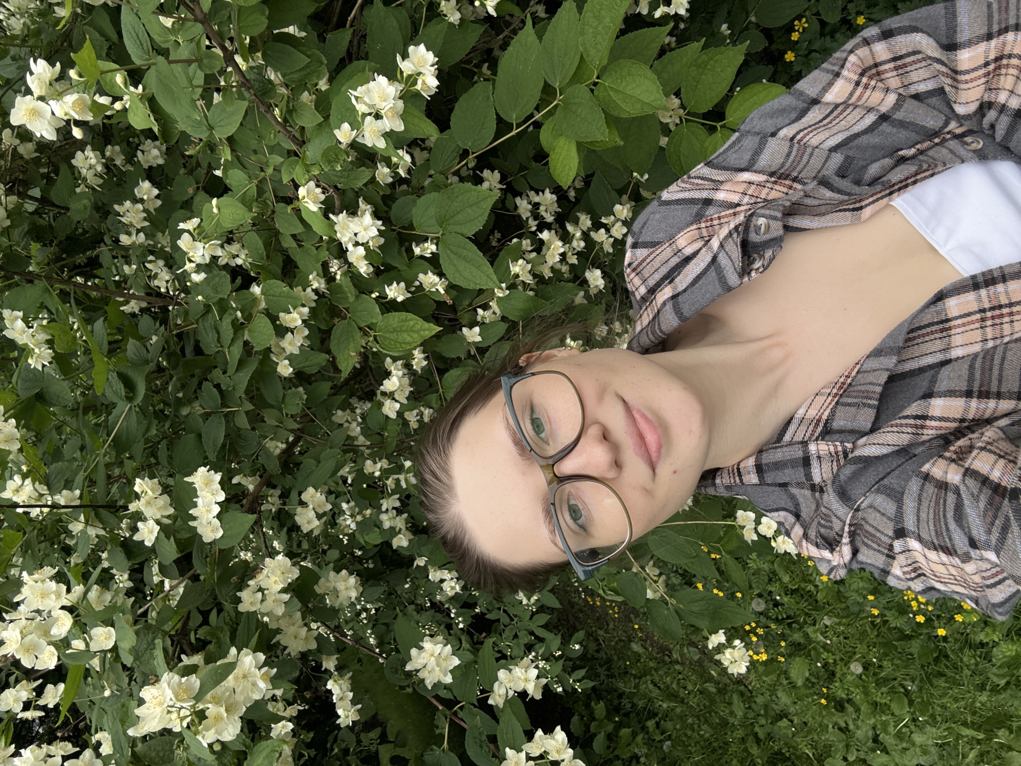 Woman photographs jasmine blooms in Saint Petersburg park