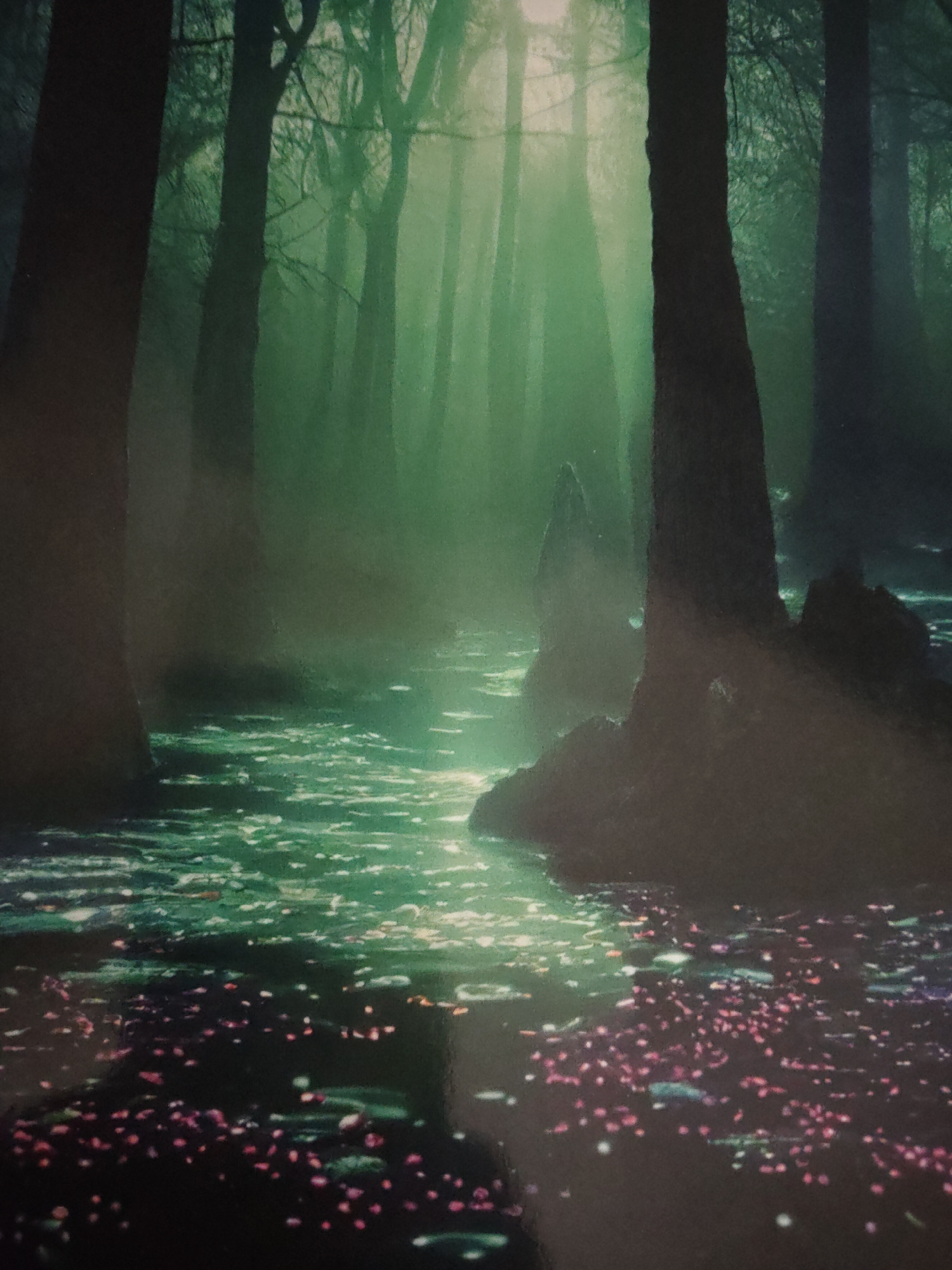 Misty forest, green light, dark trees — 15 angles