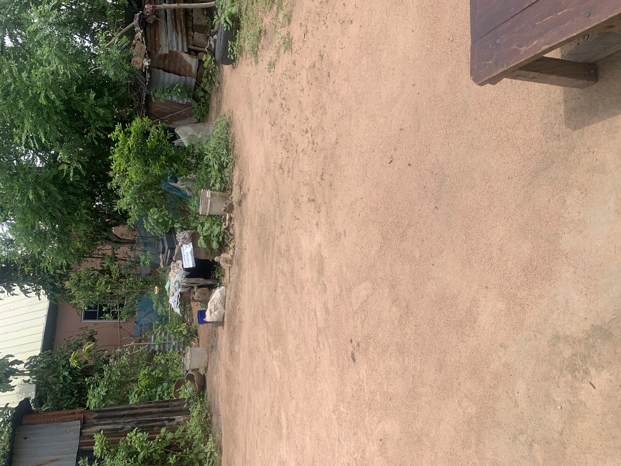 Daily life scenes documented across Jalingo, Nigeria