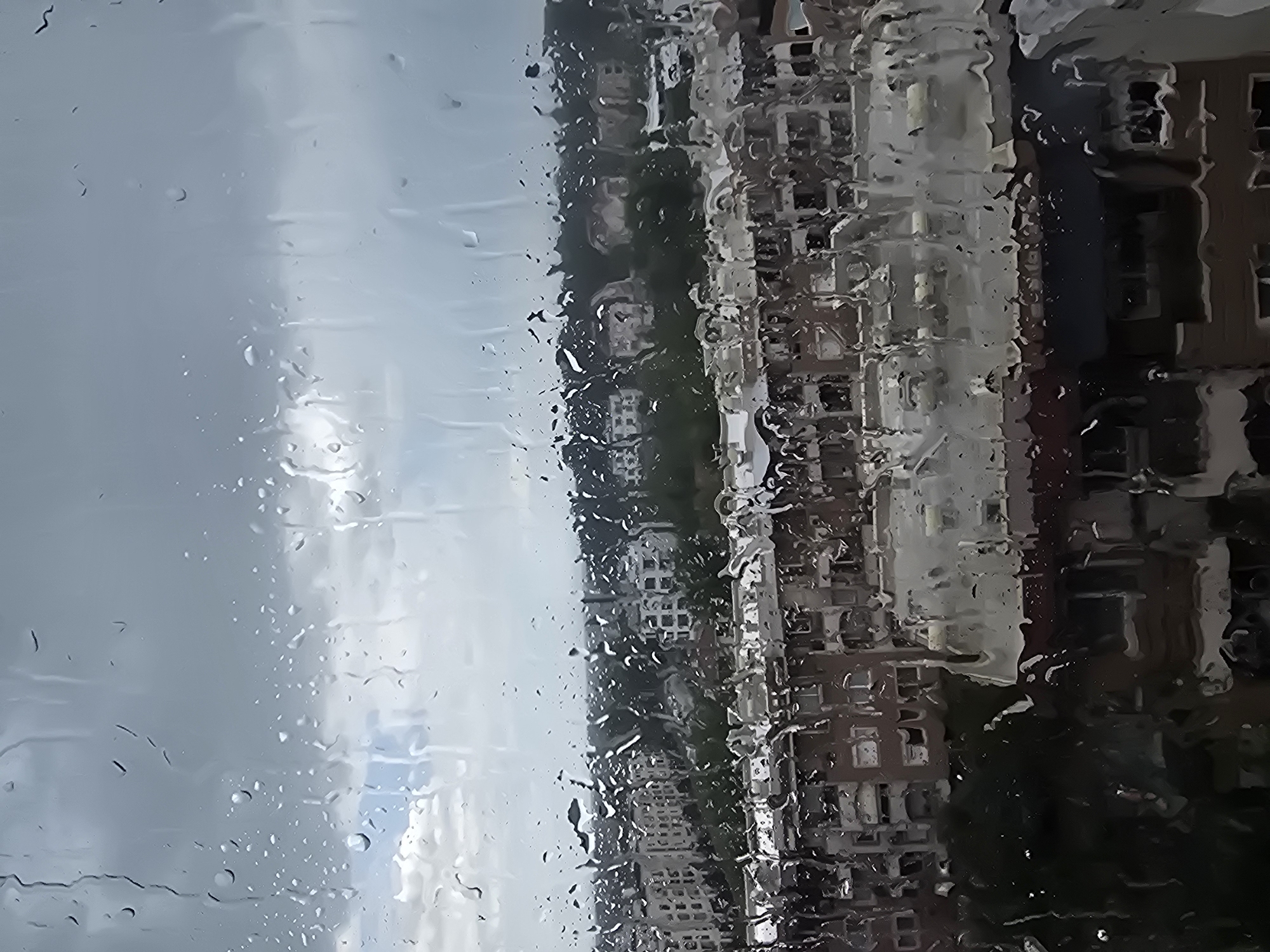 Rainy morning cityscape and swallow nest documented by witness