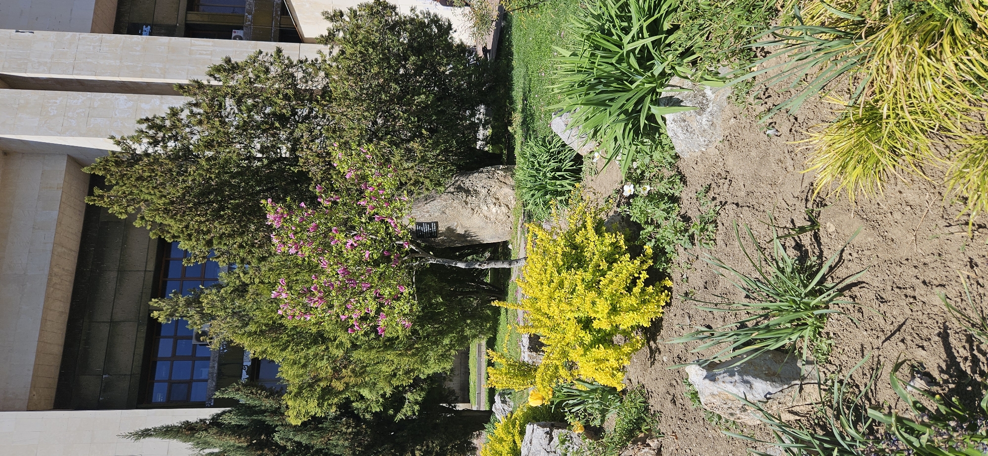 Easter displays and spring blooms documented in Blagoevgrad