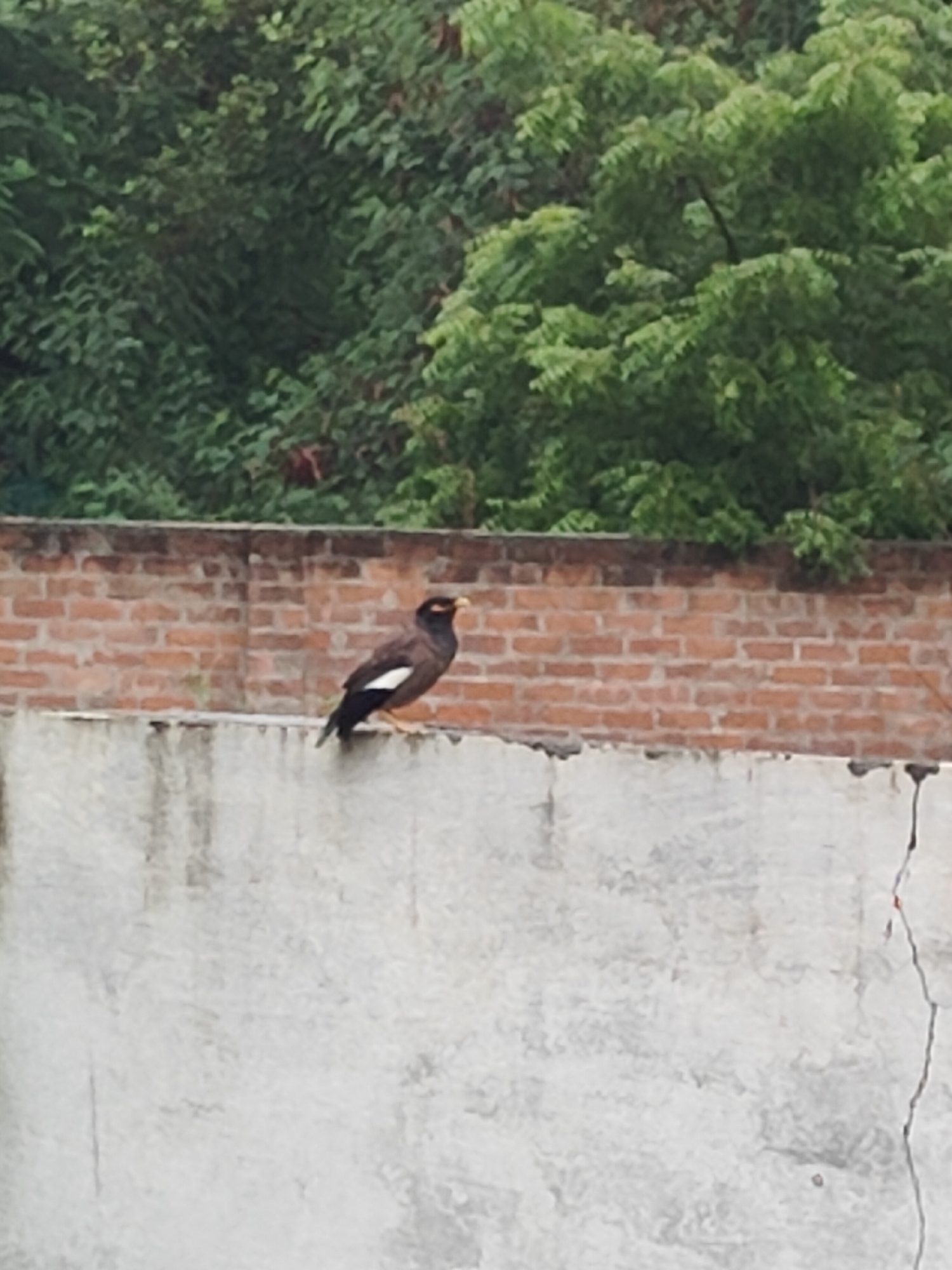 Gurgaon, India