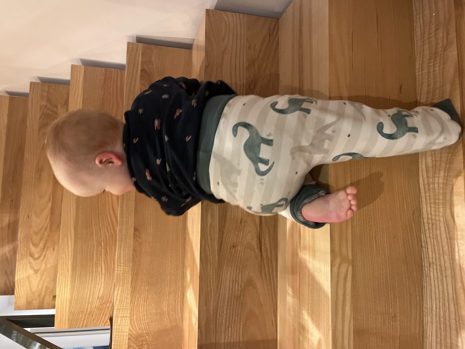 Family moments with baby and Corgi captured in German home