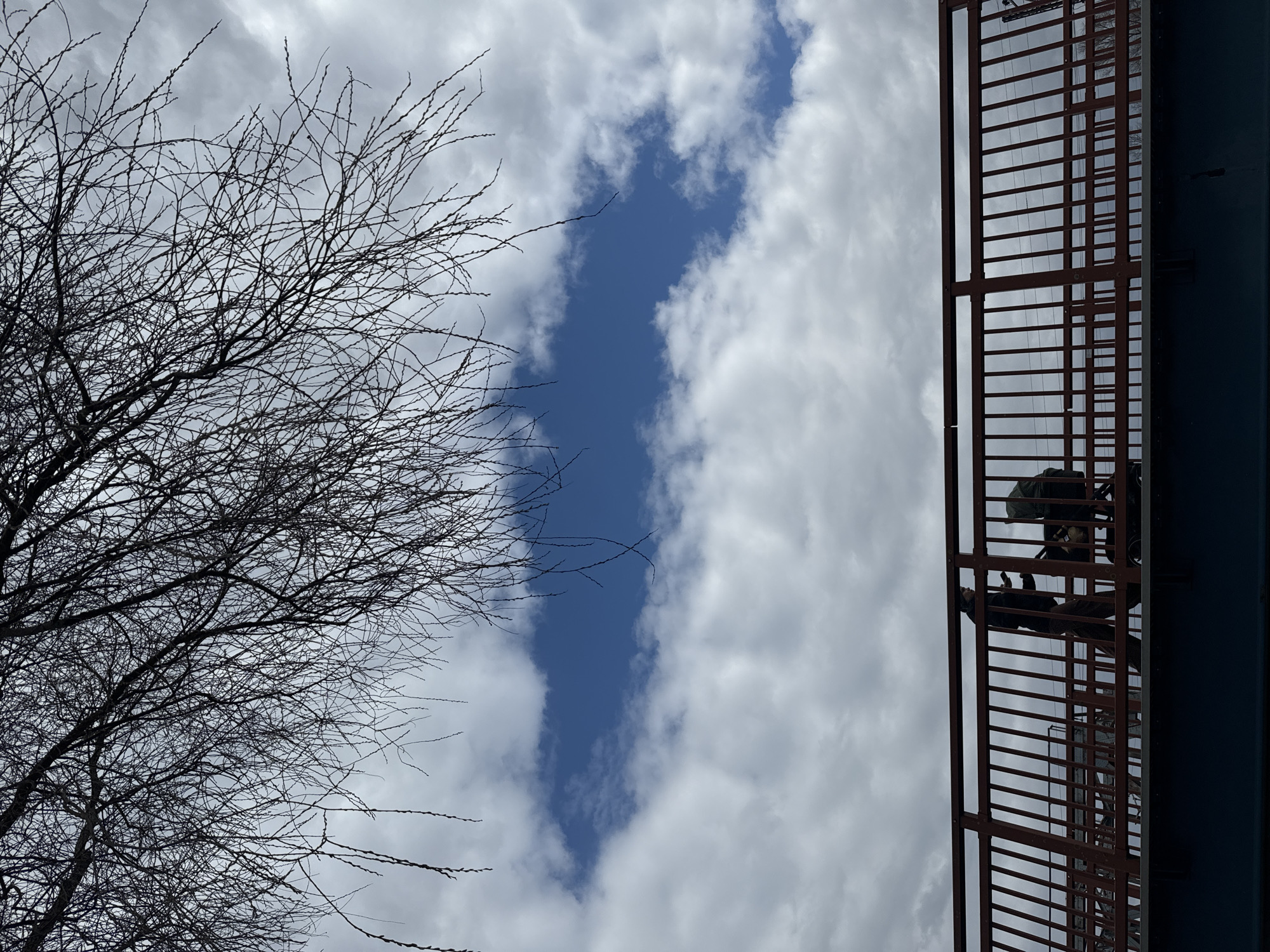 Morning scenes documented across Carnikava, Latvia parks and riverside