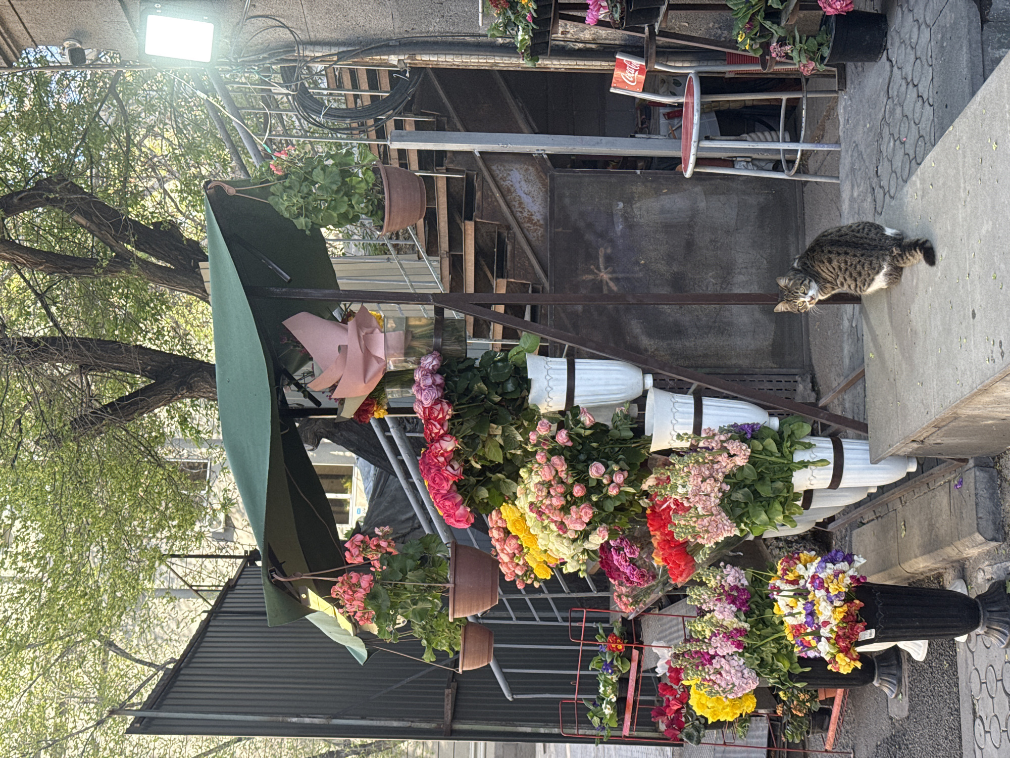 Street flower vendor operates in downtown Yerevan