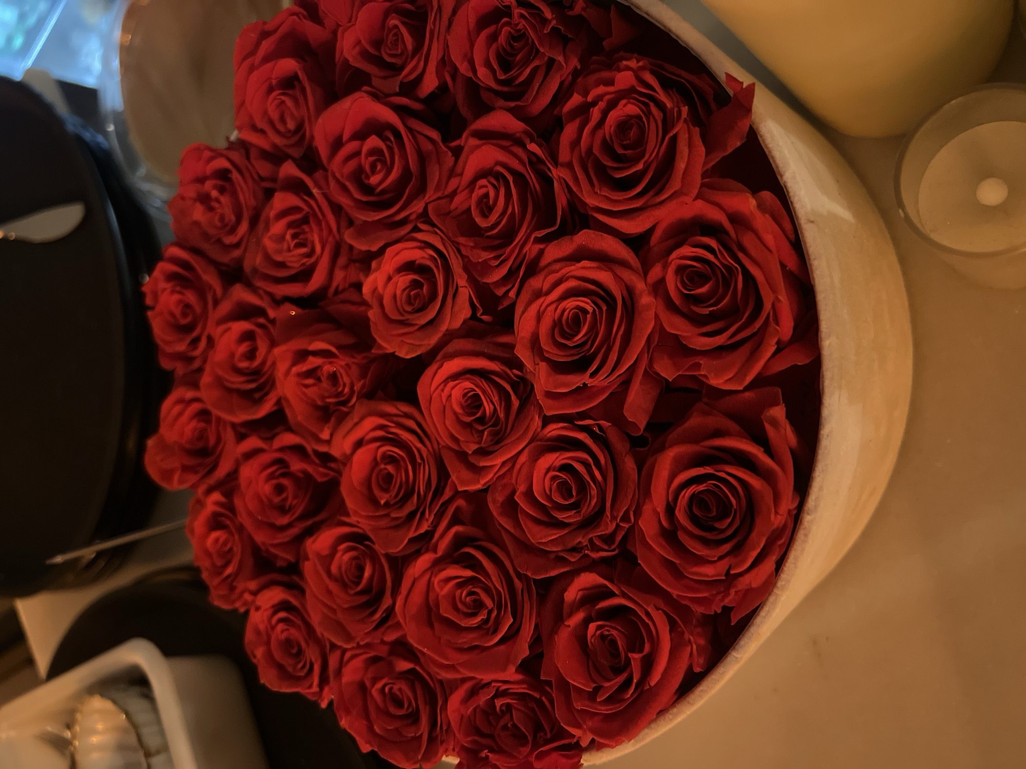 Red roses photographed in container in Barcelona