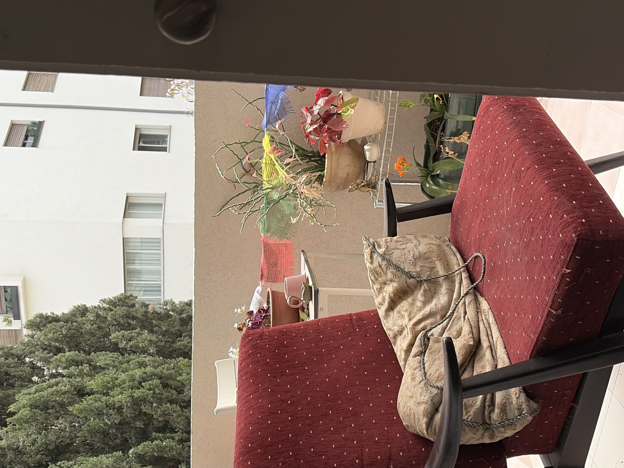 Tel Aviv resident documents quiet morning moments from balcony