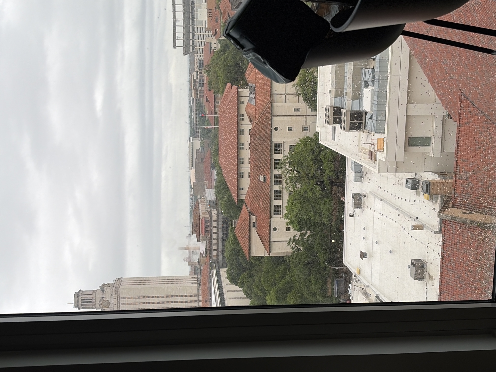 Elevated campus views and souvenir mug captured in Austin