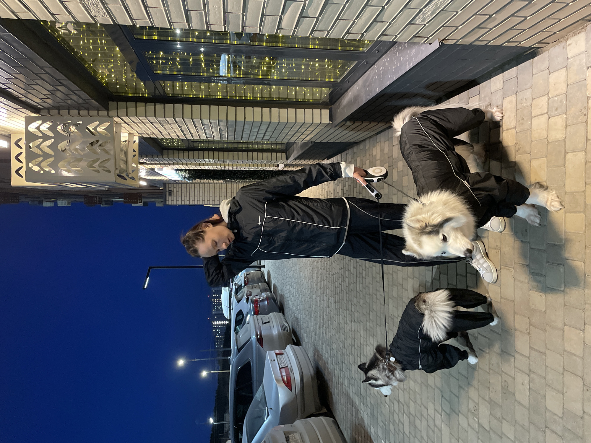 Evening street scenes with dog walker and pedestrians in Izhevsk