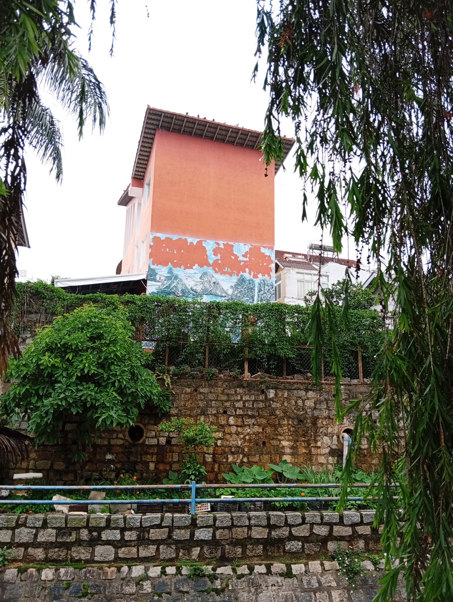 Morning street scenes documented across Da Lat's flower-lined districts