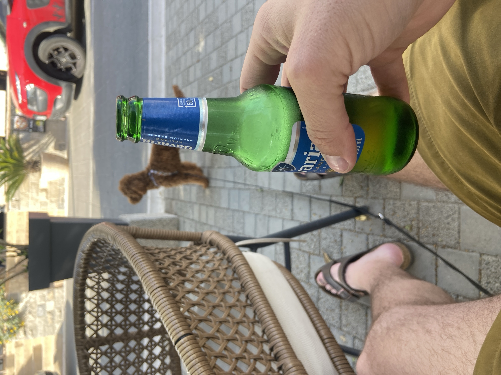 Afternoon beer and dog companionship at Montenegro seaside cafe