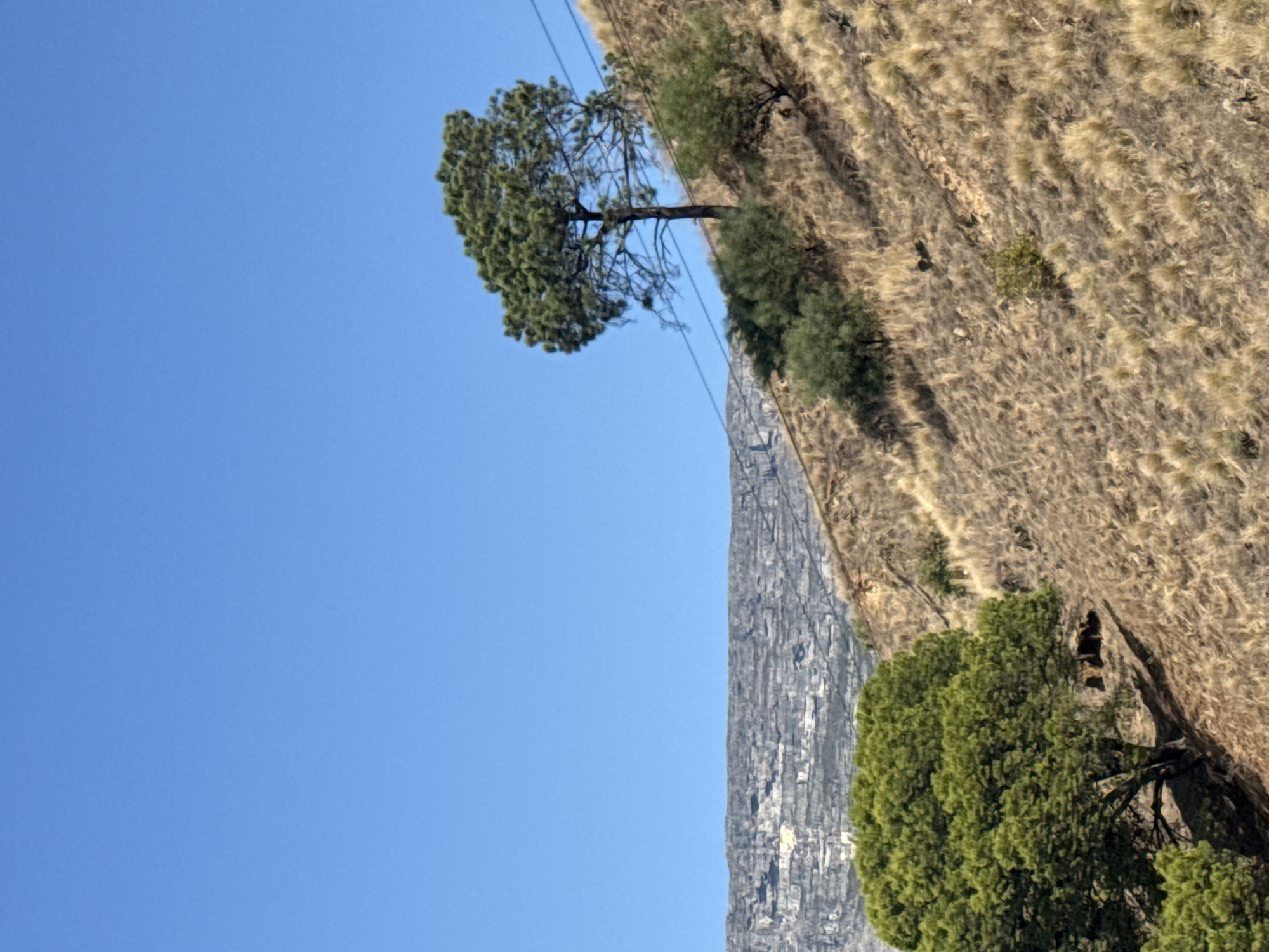 Clear skies frame Table Mountain views in Cape Town