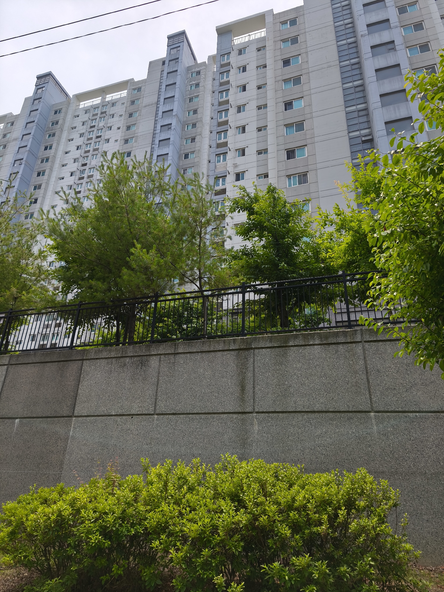 Early morning documentation of urban Asan-si residential areas