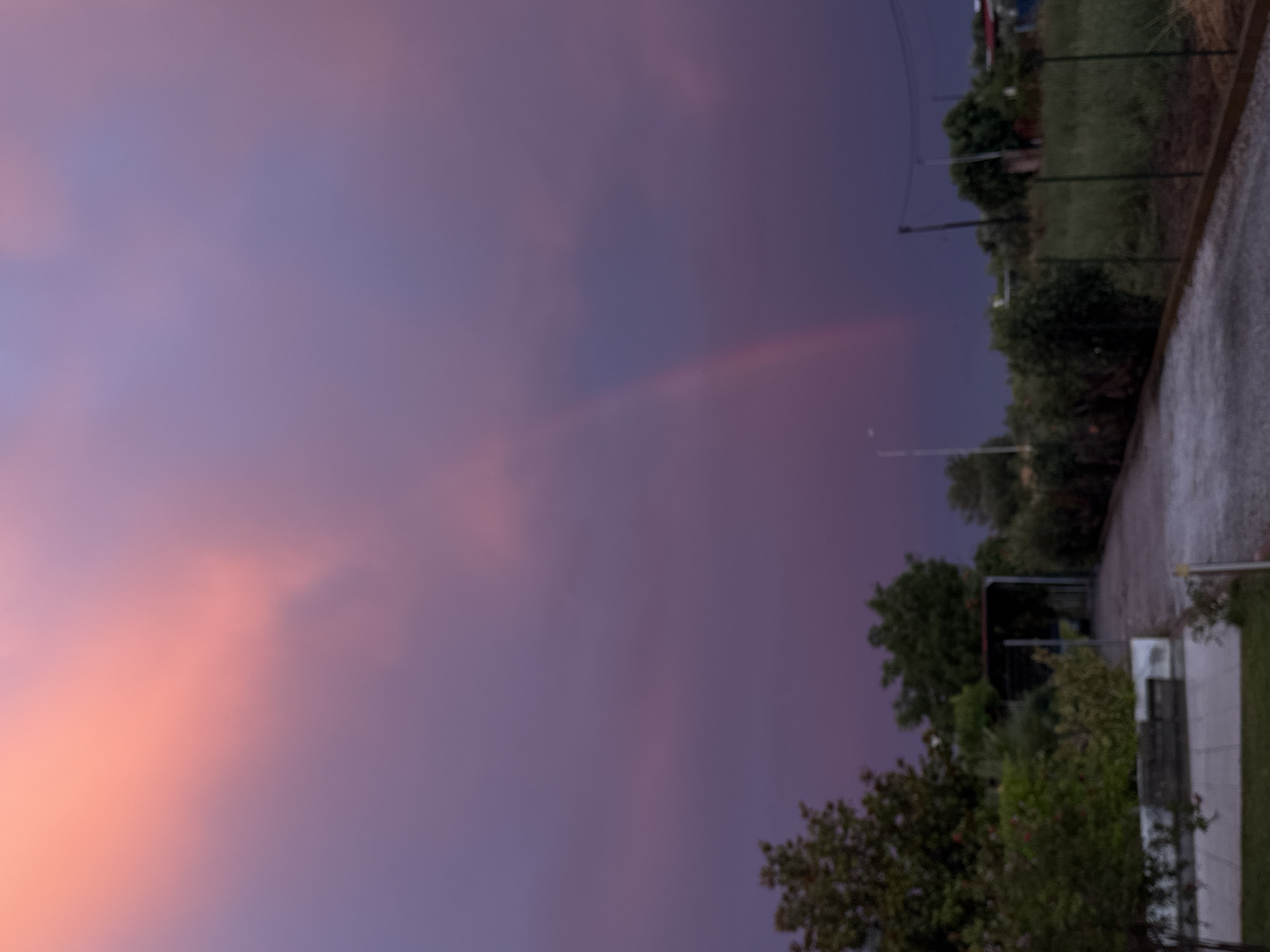 Sunset skies, street cats, and evening moments across one window