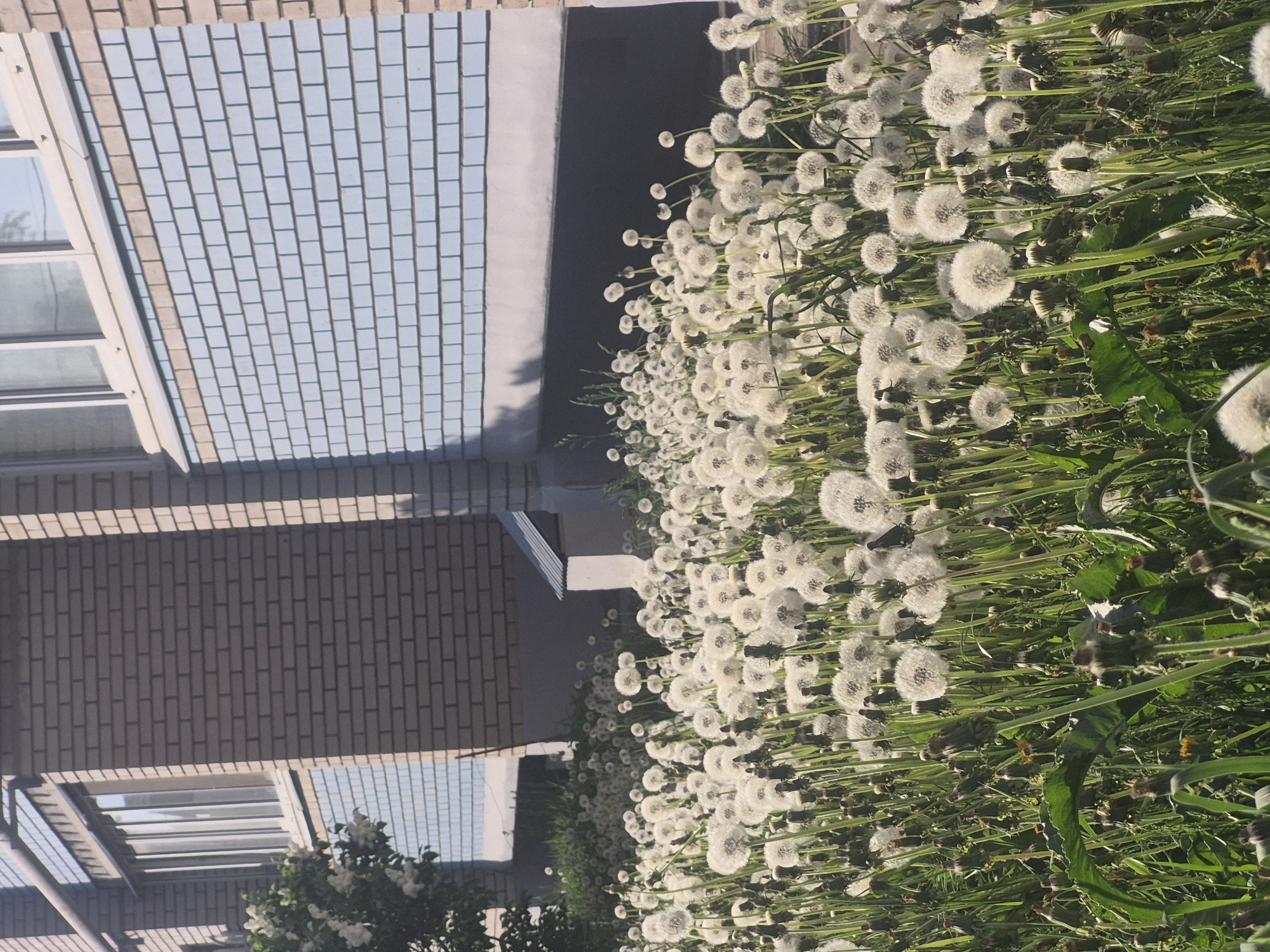 Spring day moments captured: flowers, construction, bikes, portraits