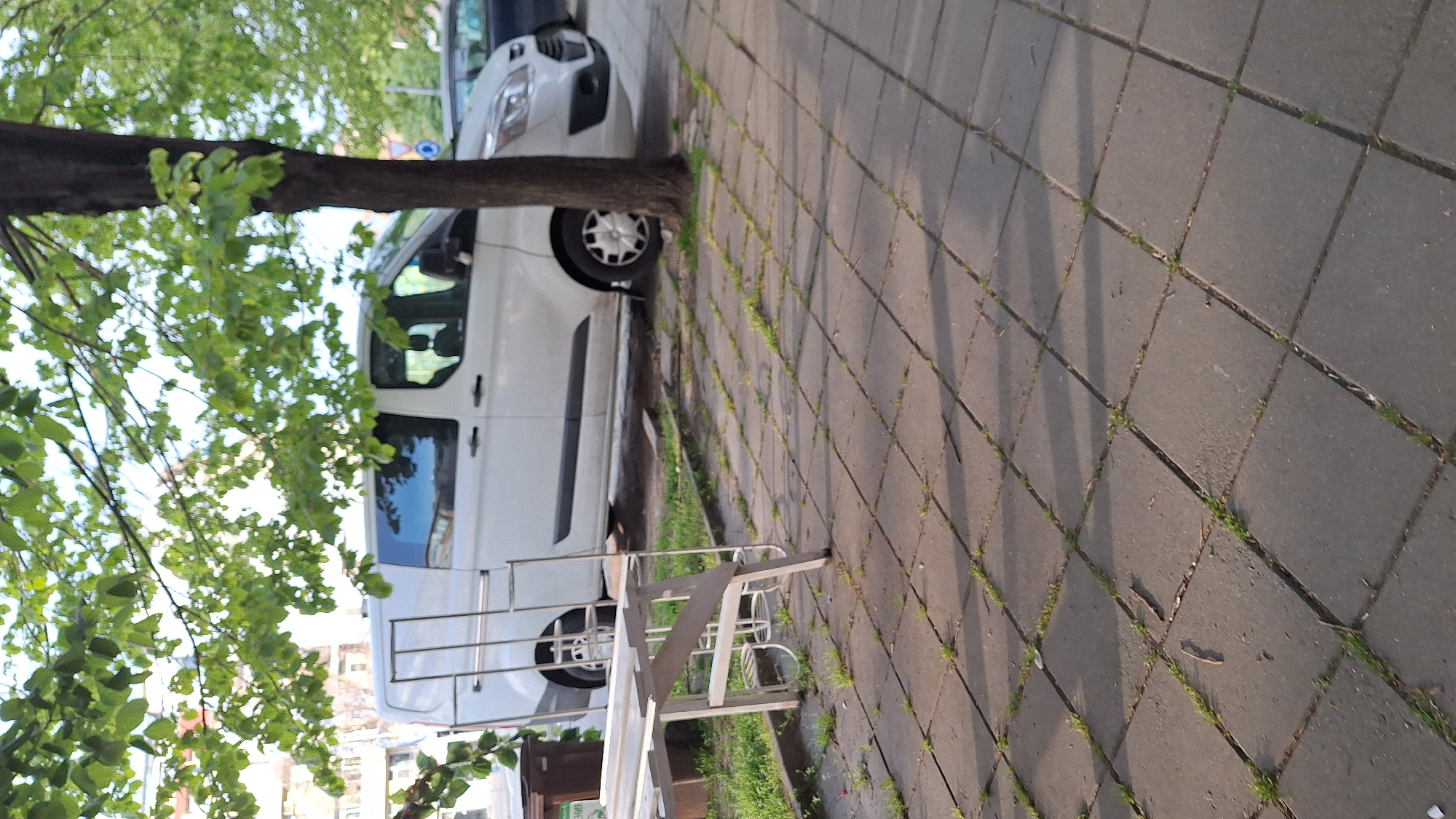 Morning scenes documented in Blagoevgrad, Bulgaria including dog, streets
