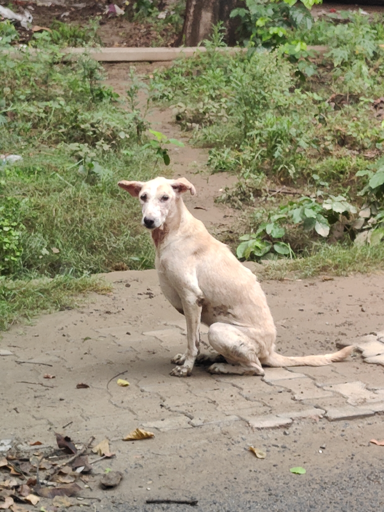 Gurgaon, India