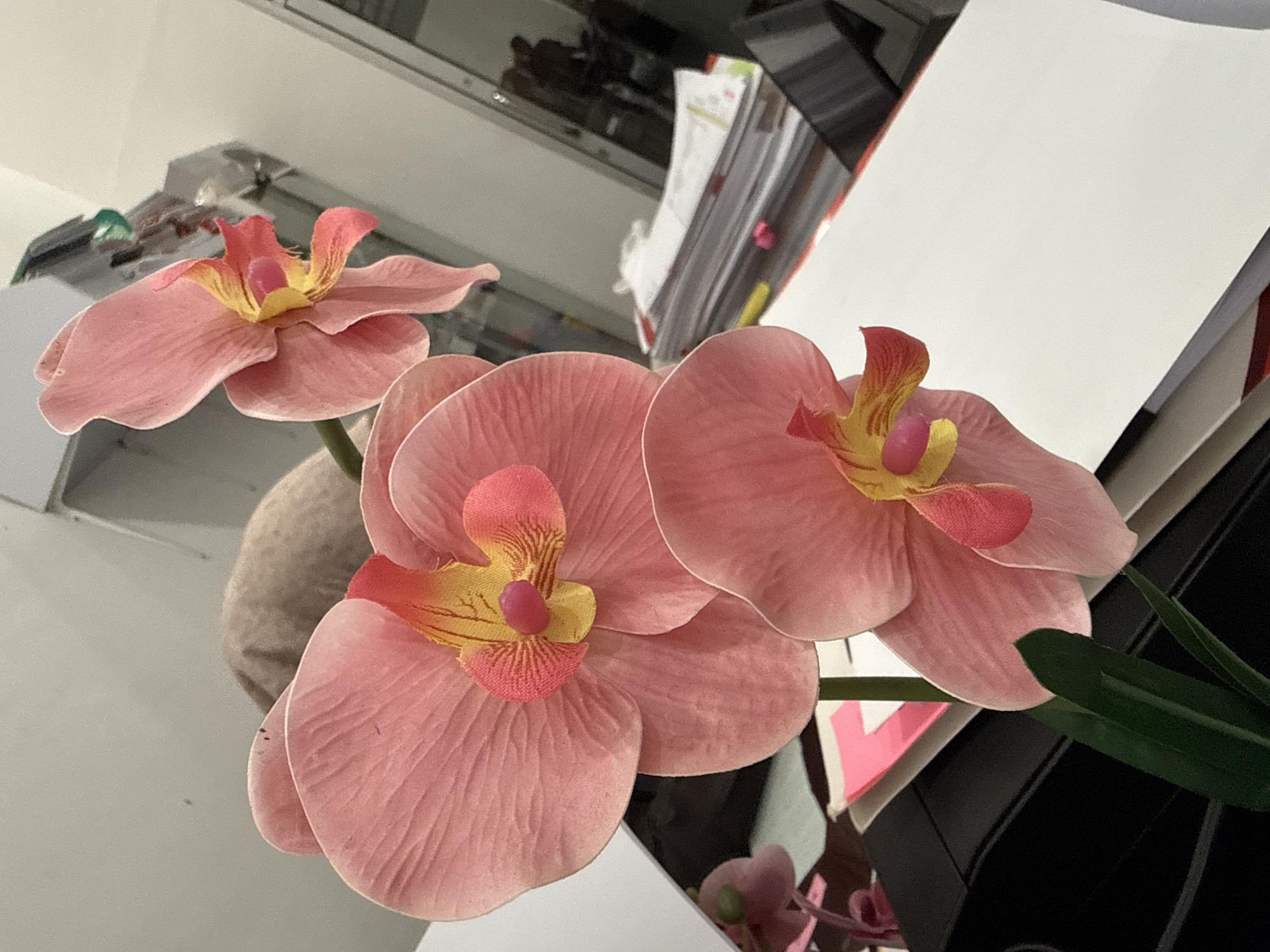Artificial orchid arrangement observed in Lhokseumawe, Indonesia