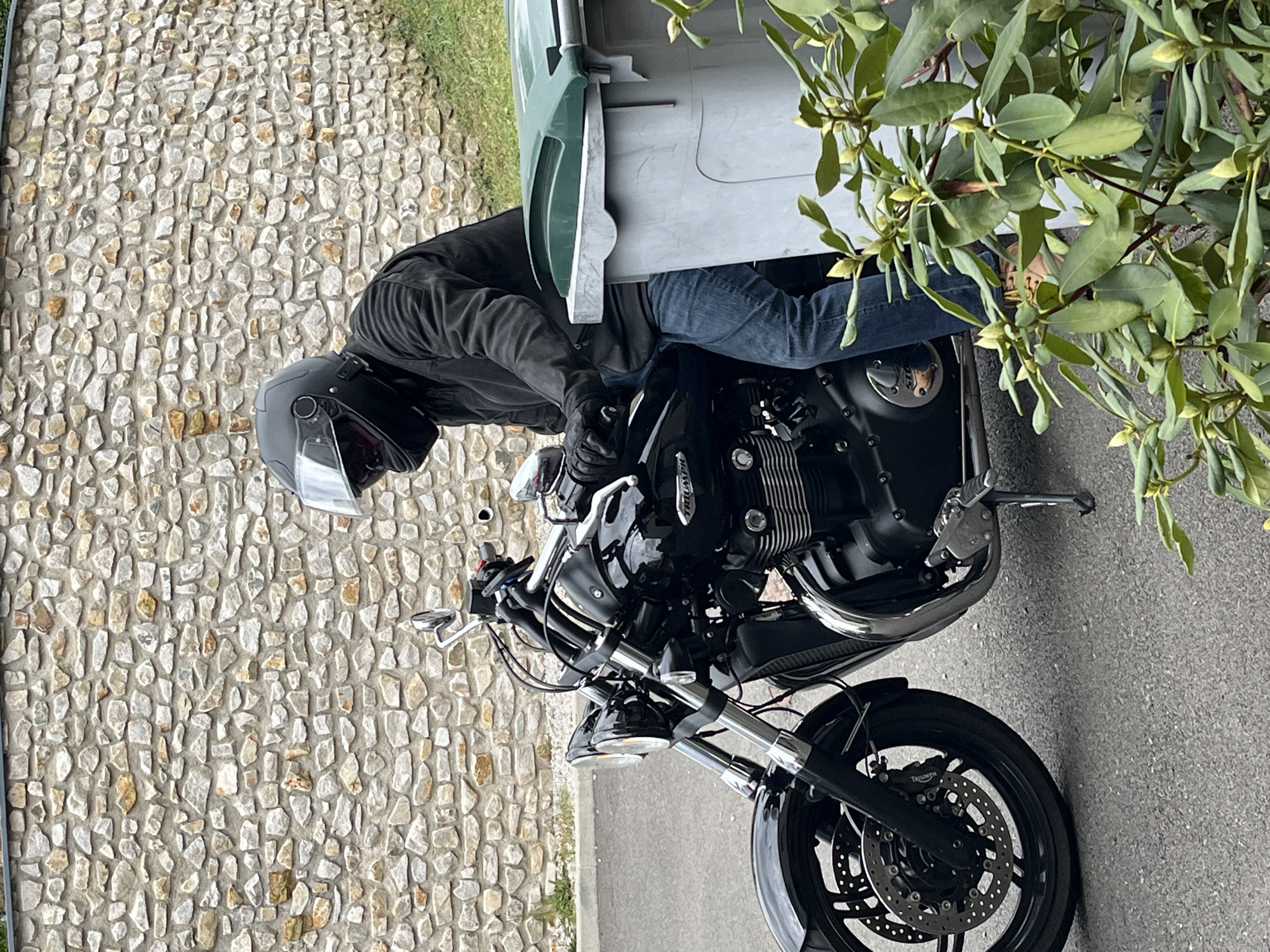 Motorcycle rider and sleeping cat observed in Chambœuf