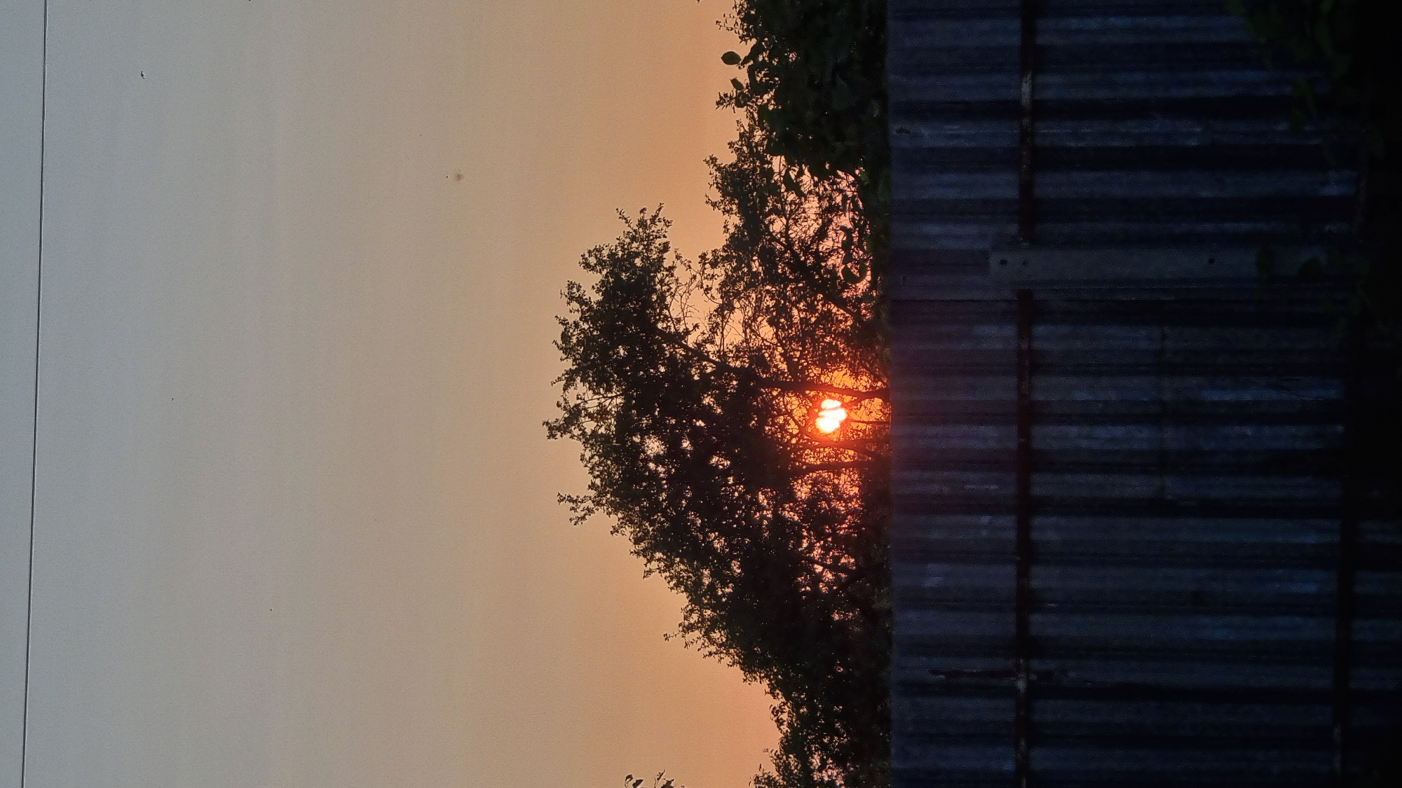 Summer sunset behind the treeline in Vysokoe, Russia