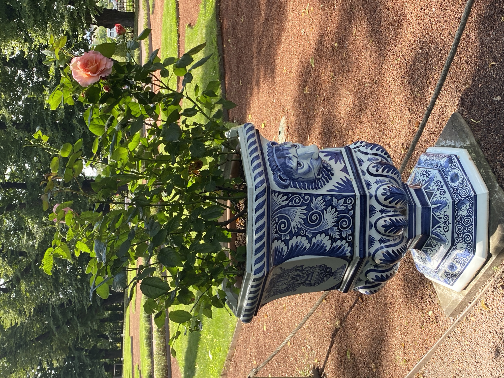 Summer morning at Saint Petersburg's gardens and Peterhof fountains
