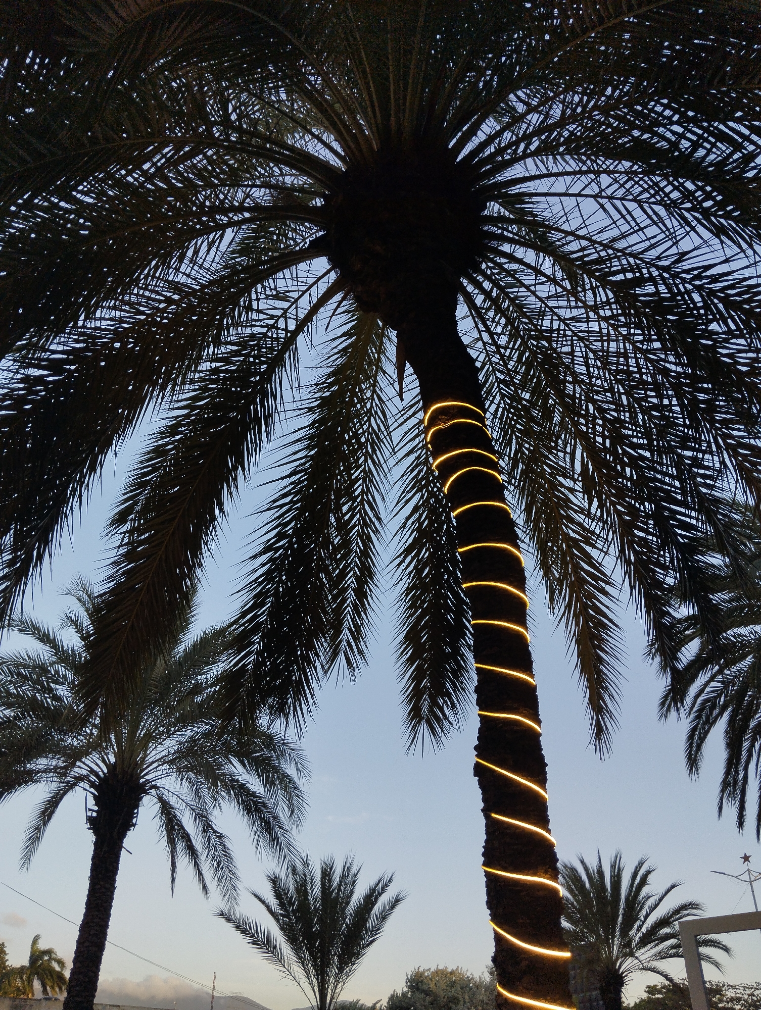 Evening scenes documented in Juan Griego coastal town