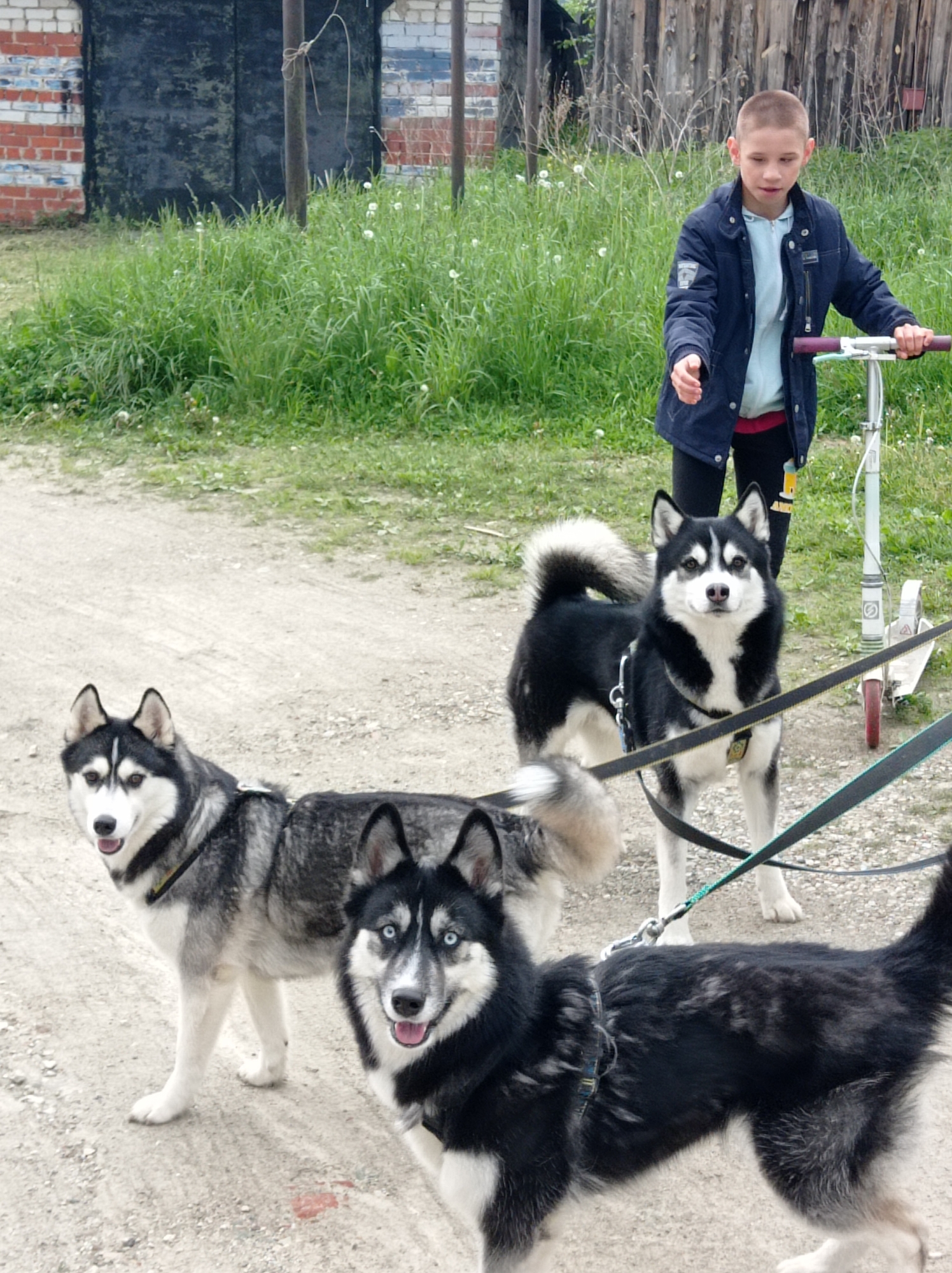 Boy with three huskies spotted in rural Degtyarsk