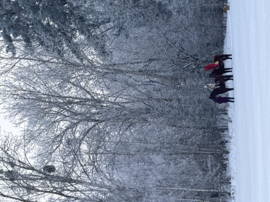 Winter scenes documented across rural Belarus countryside