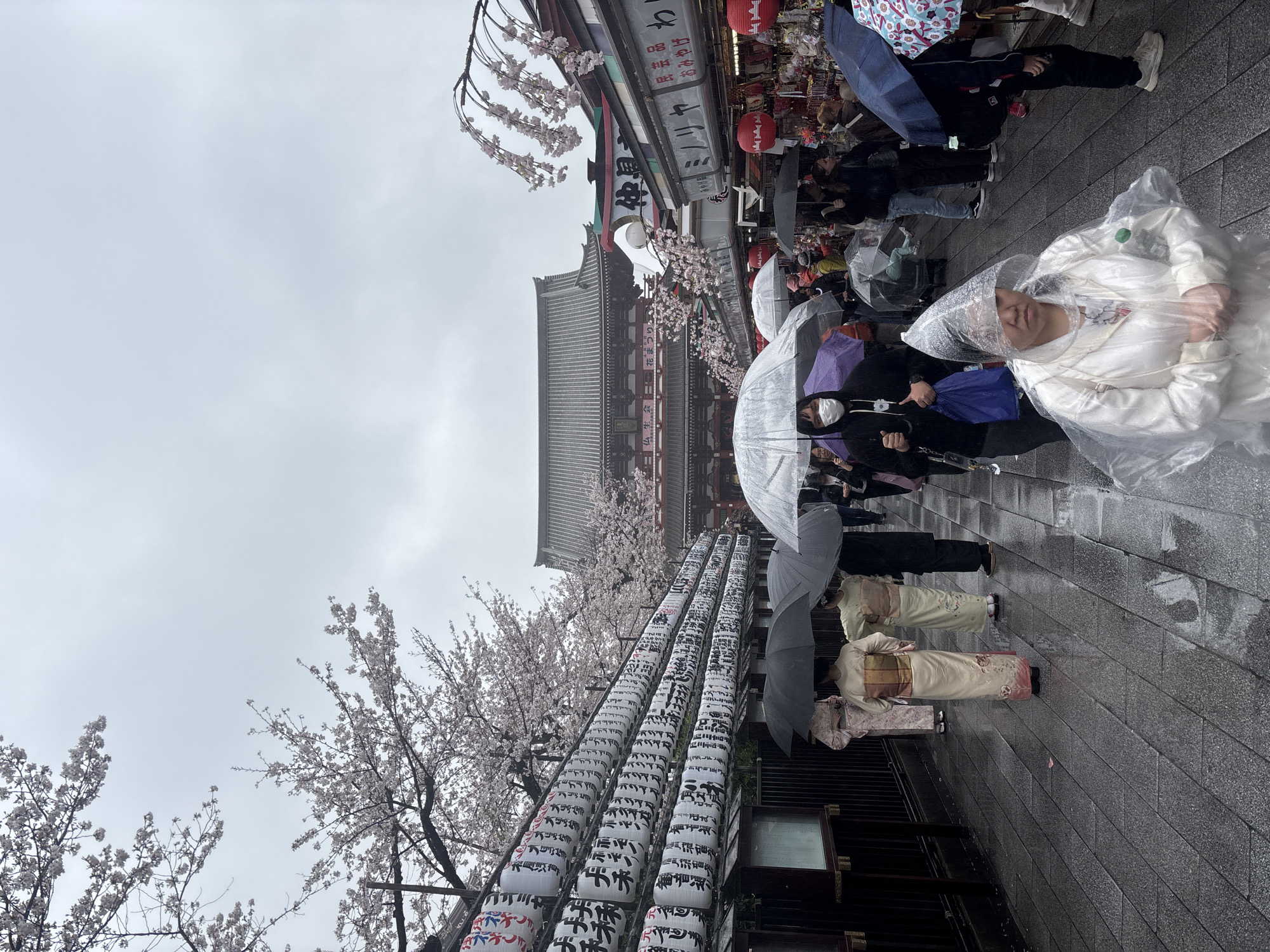 Rainy morning crowds gather near temple in Taito, Japan