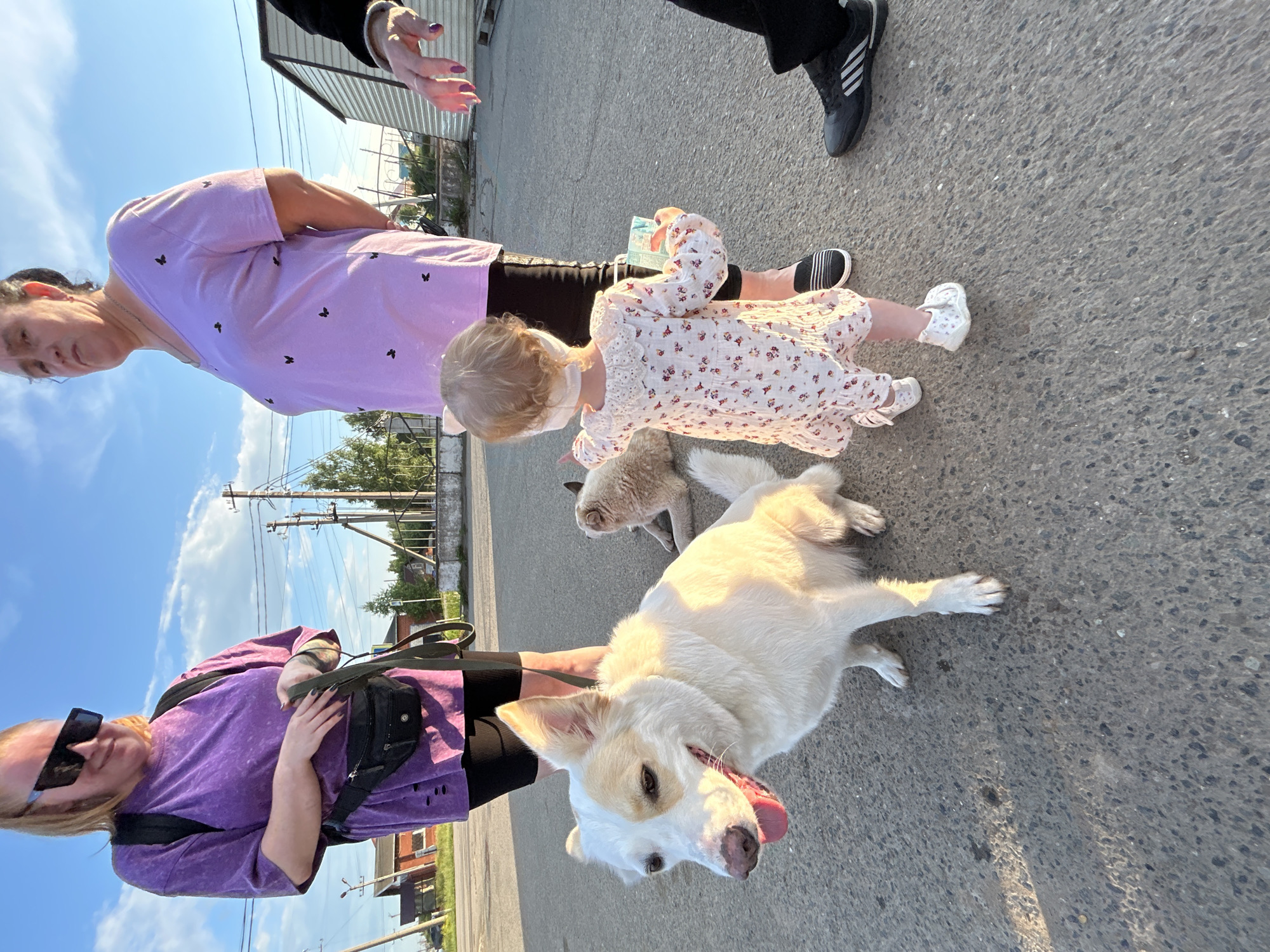 Lazy afternoon in Chernushka with a white dog in tow