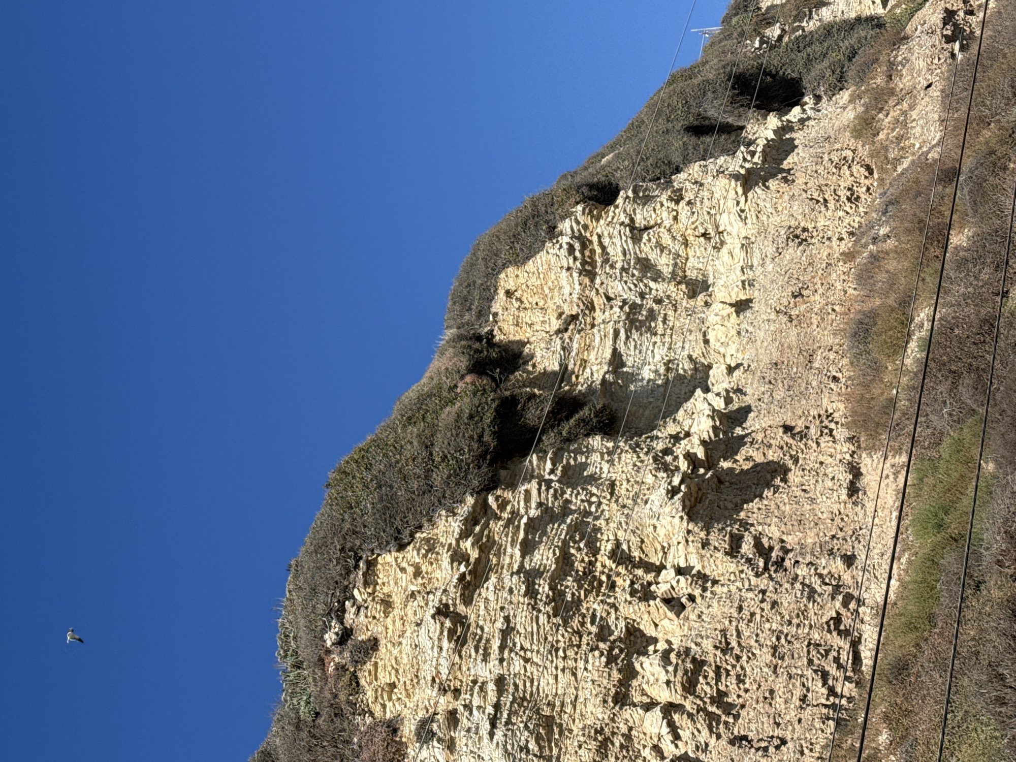 Sunny afternoon on a Malibu beach, cliffs and kite included