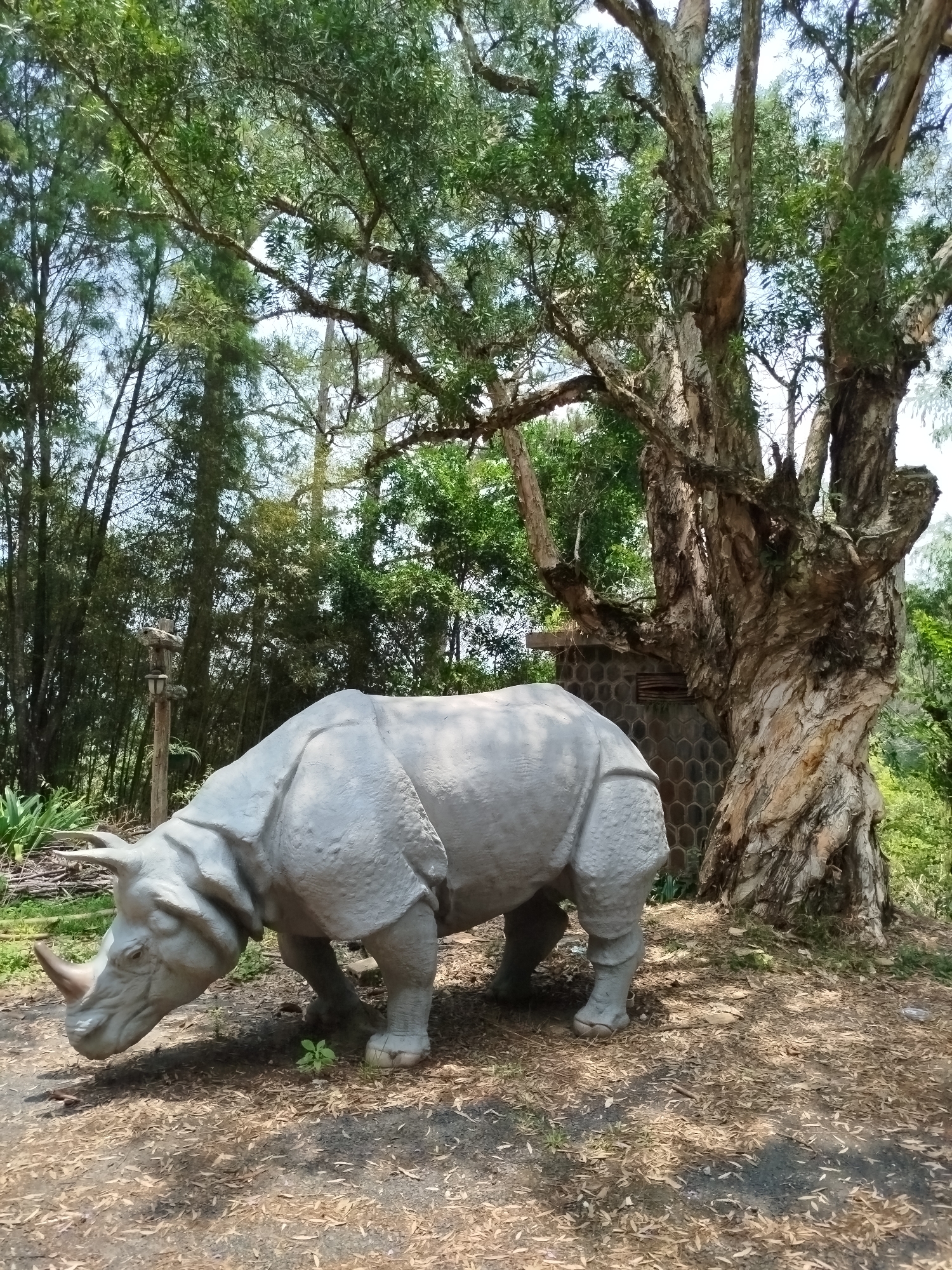 Early morning tour captures Lang Biang park attractions in Vietnam