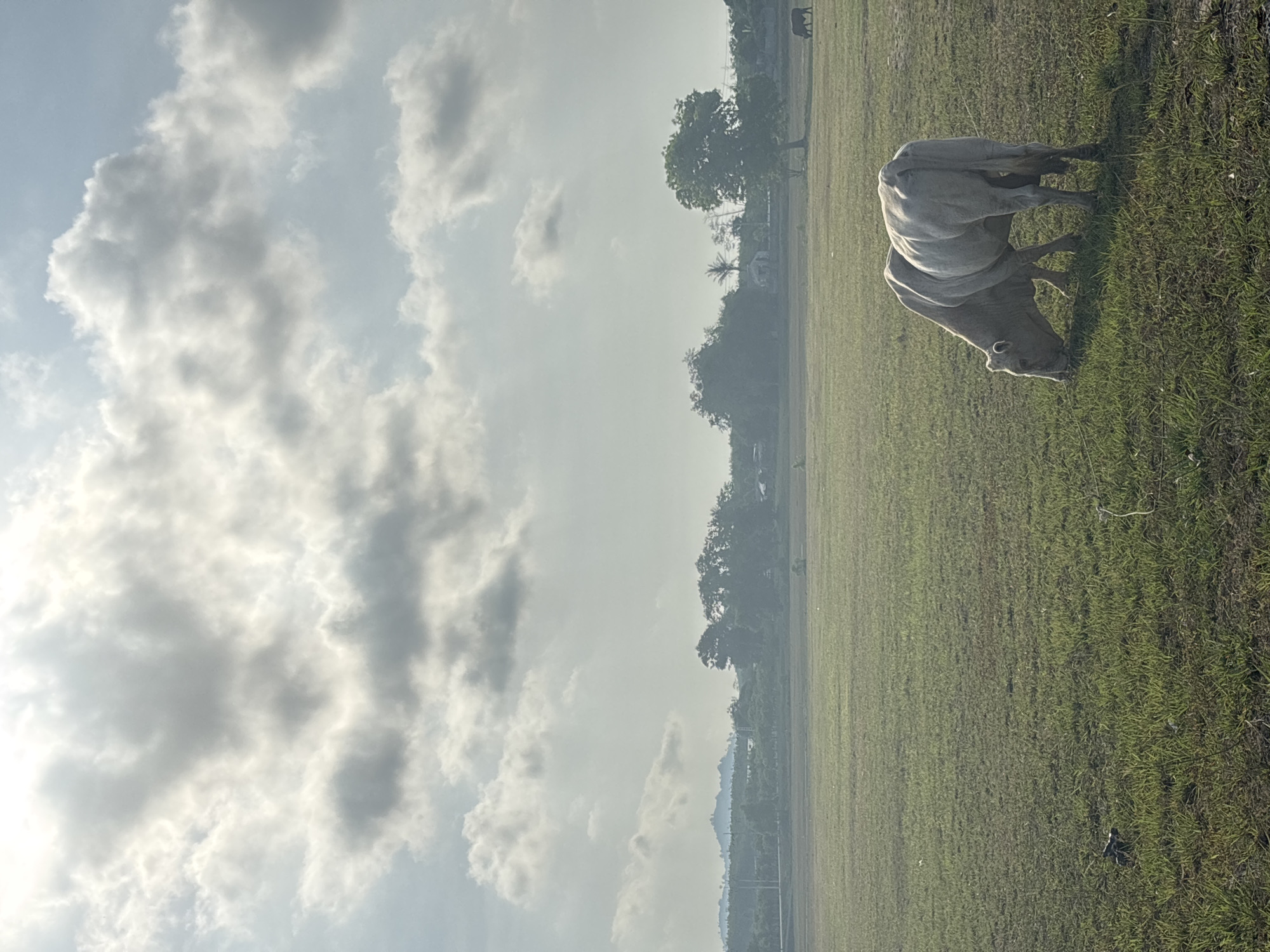 Early morning pastoral scenes captured around Choeng Thale, Thailand