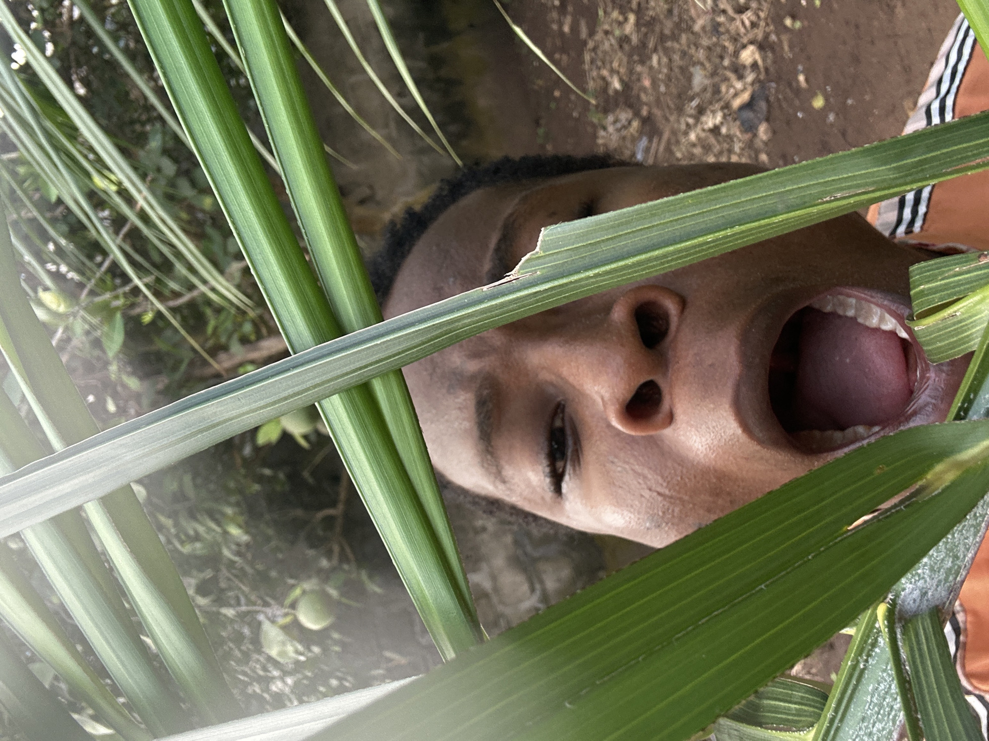 Person carries bucket outdoors among green foliage