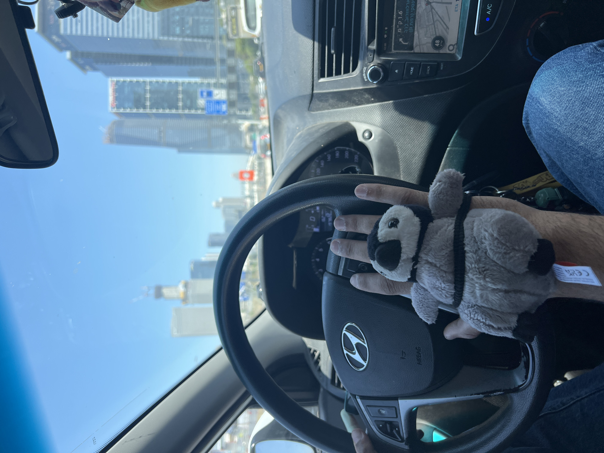 Driver captures sunny Tel-Aviv cityscape view from car