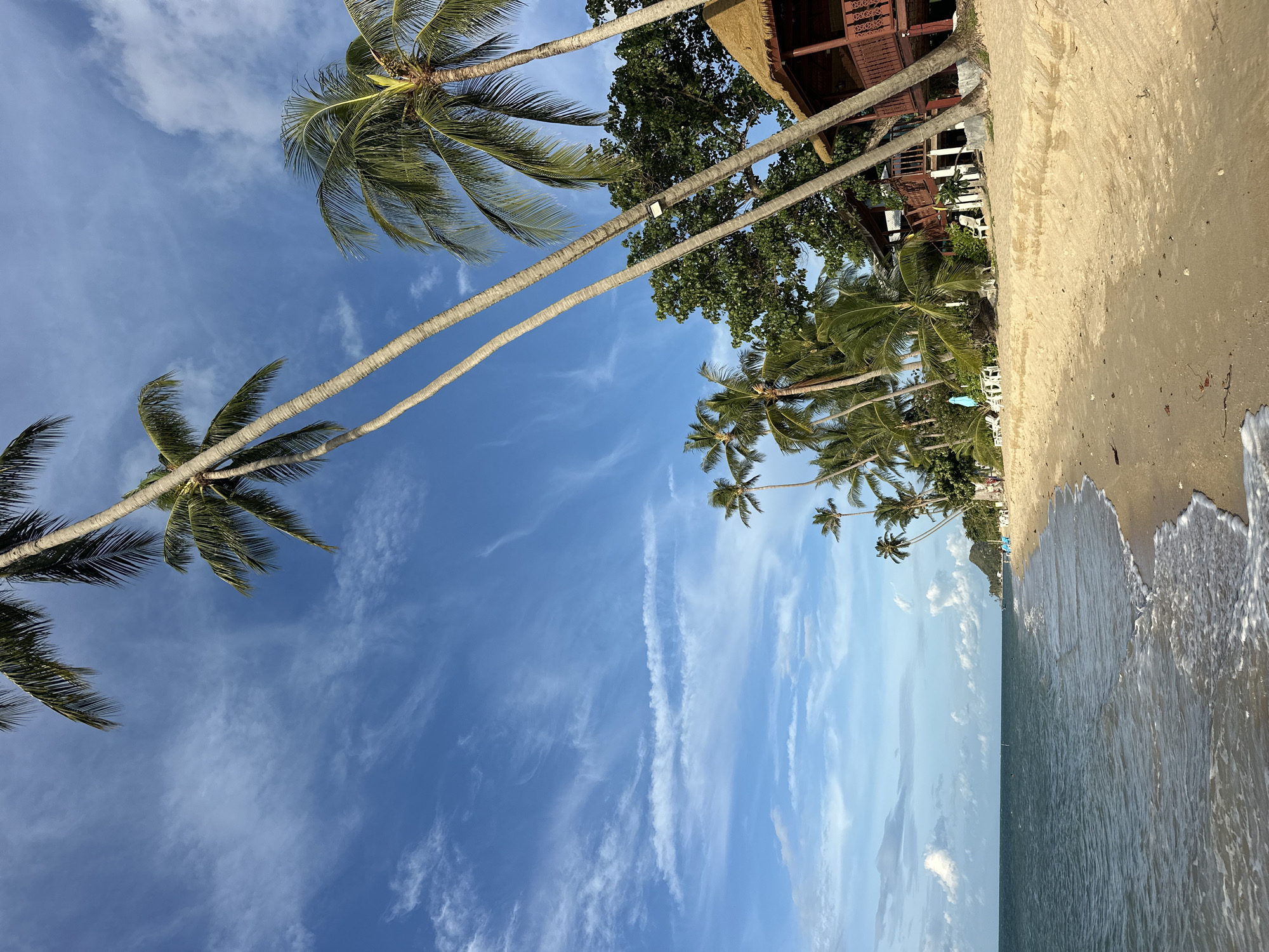 Ko Samui beach morning: palm trees, sand, and a selfie