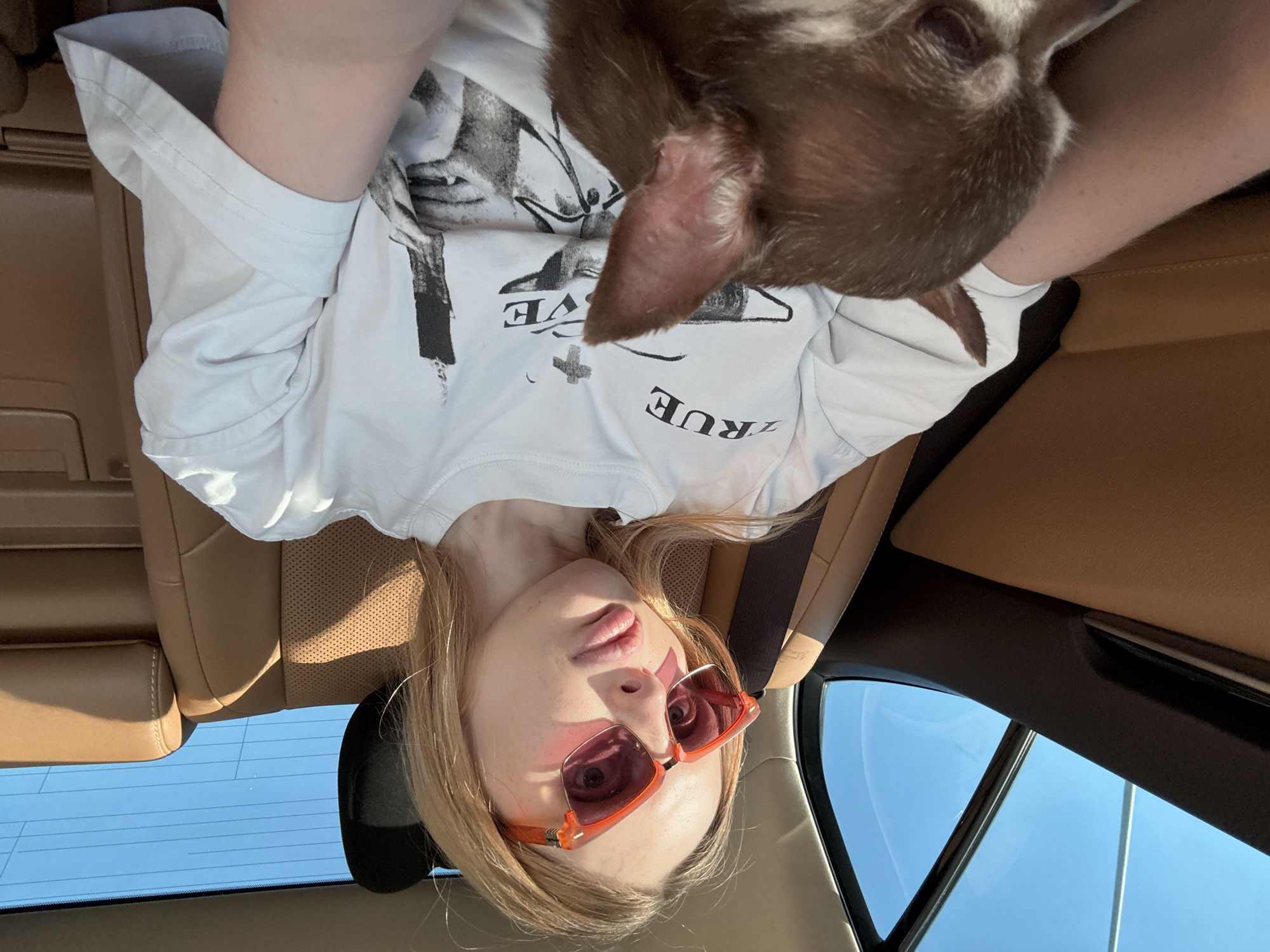 Park day, sushi lunch, and a chihuahua in tow