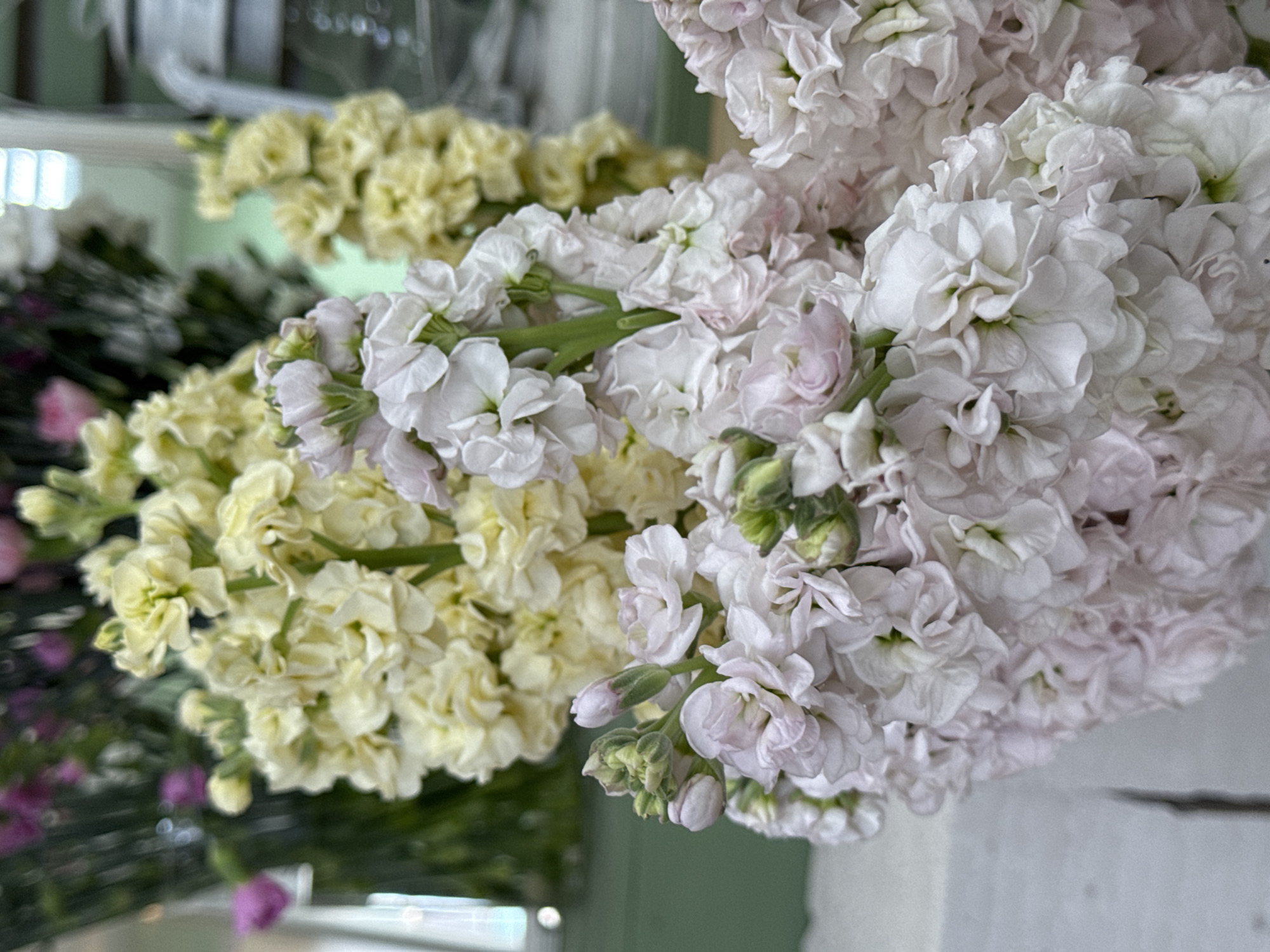 Woman visits flower shop in Izhevsk, takes selfie