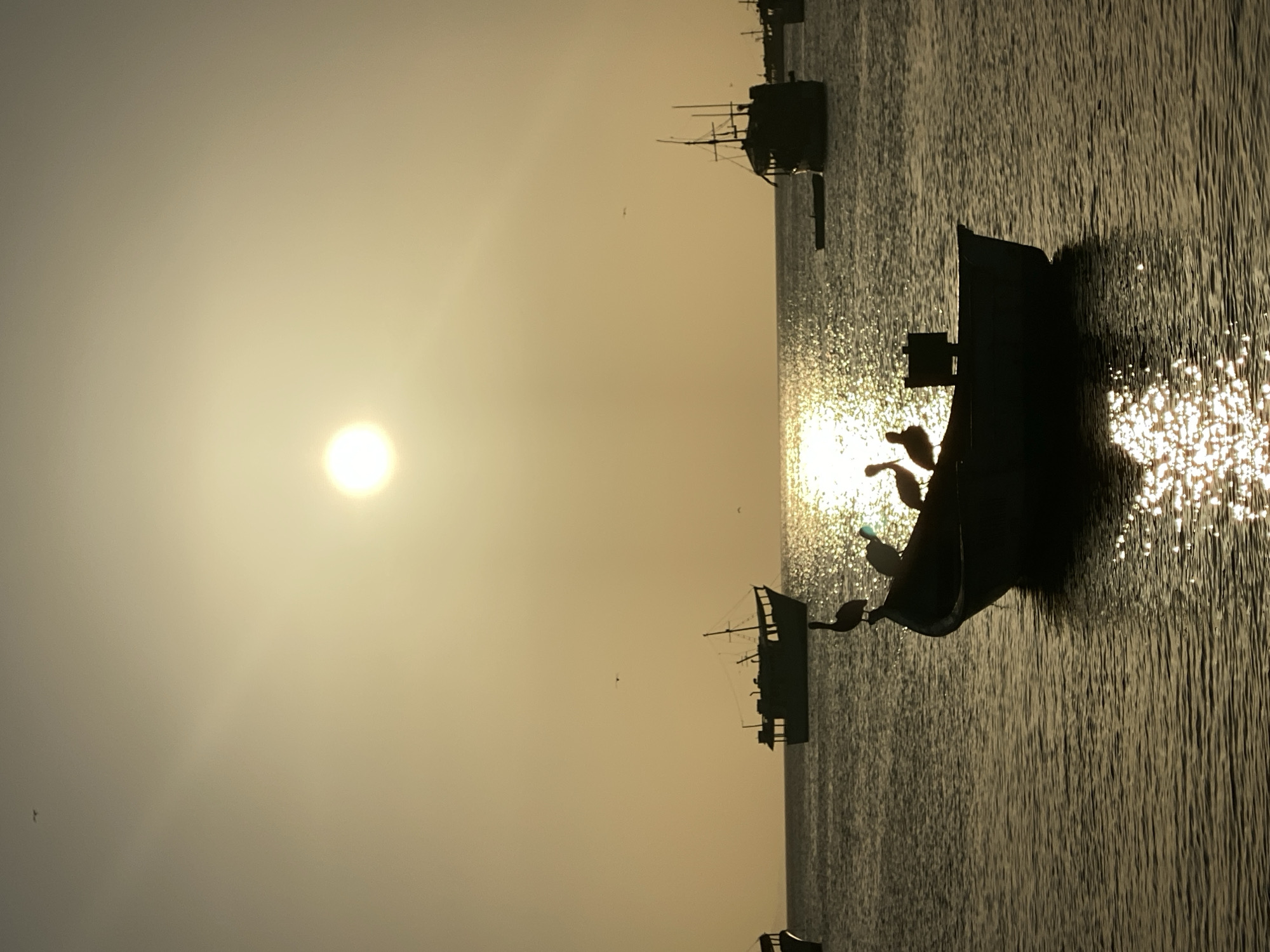 Sunset silhouettes boats and palm tree in Juan Griego