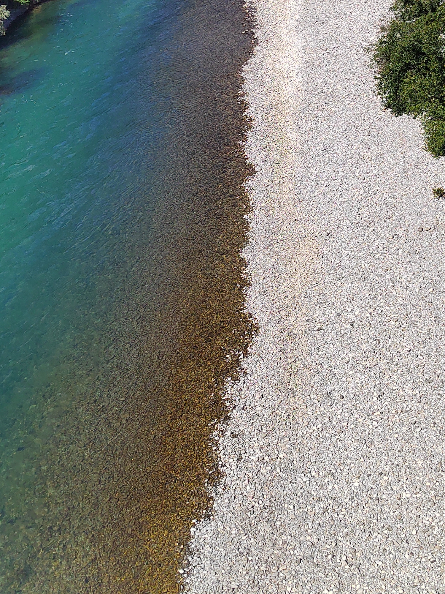 Podgorica's turquoise river and urban scenery documented by witnesses