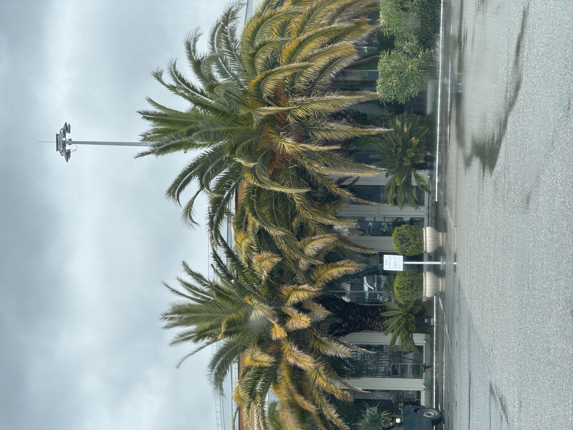 Rainy spring day scenes captured around Sirius, Russia