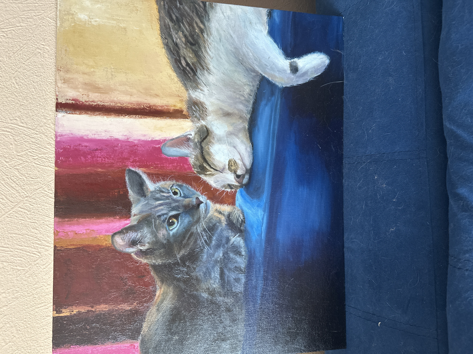 Morning moments: Cats, art, books captured in Krasnoyarsk home