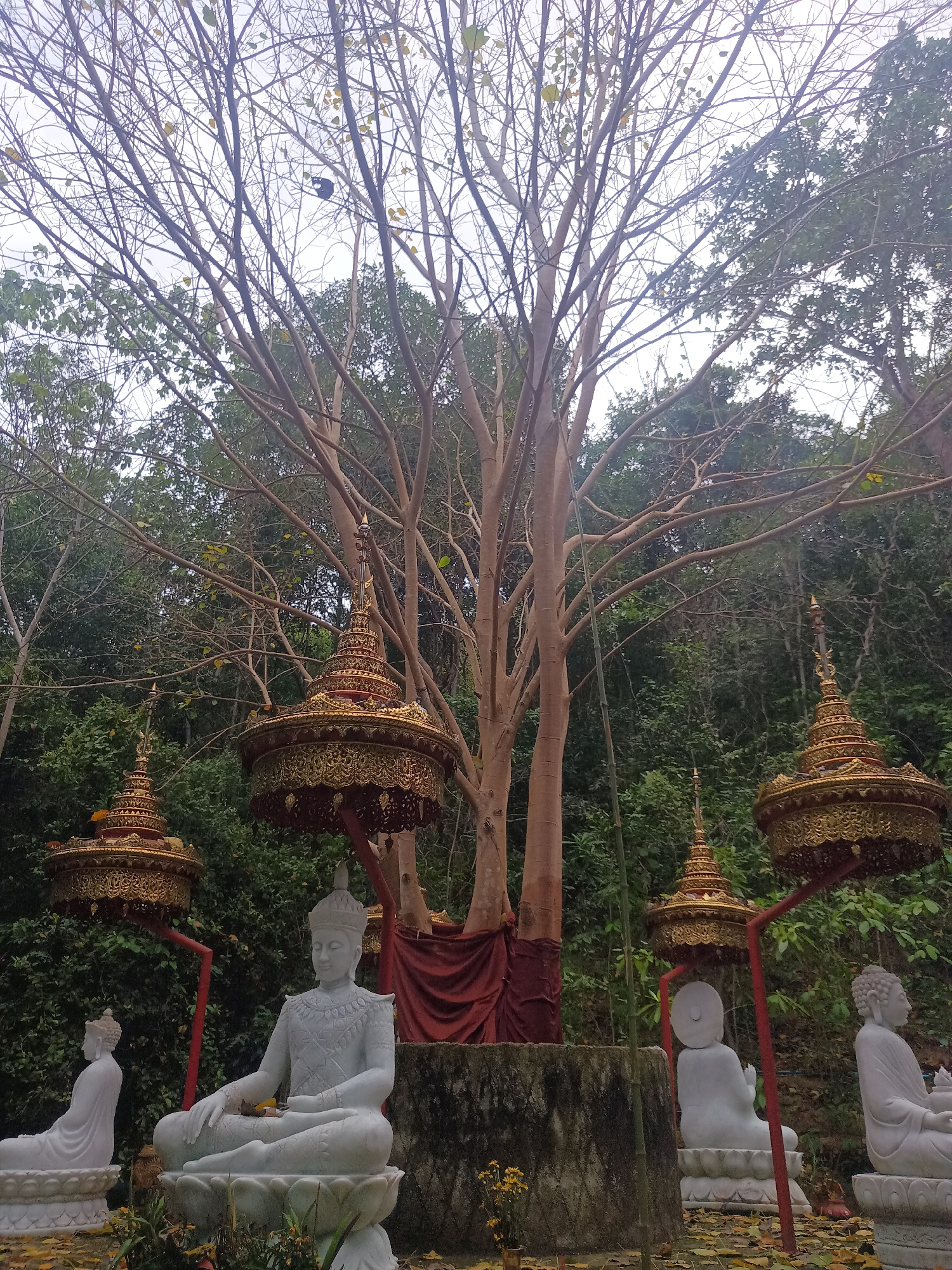 Morning temple visit documented at Wat Pa Saeng Tham, Thailand