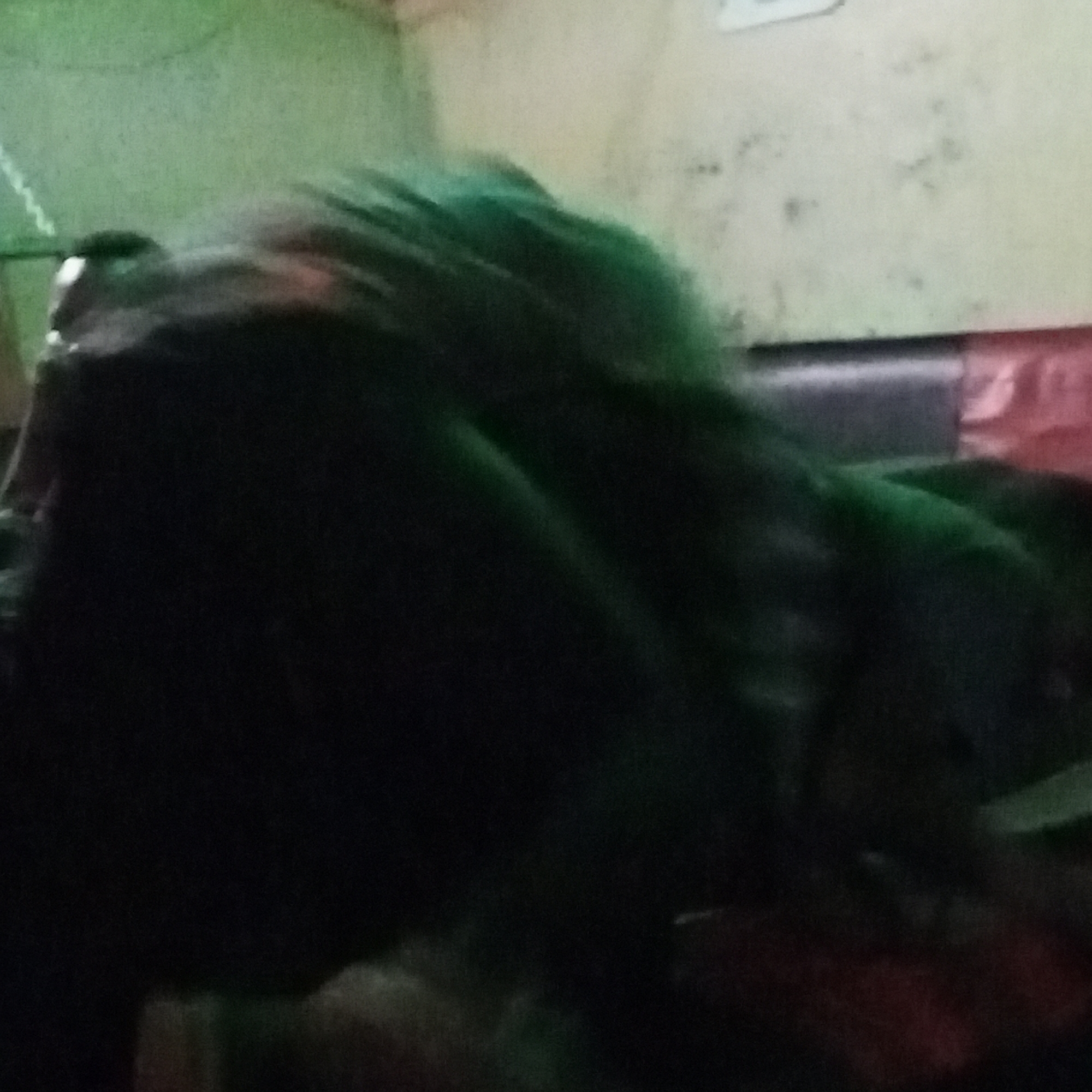 Evening social gathering documented at Borabu Chitago establishment